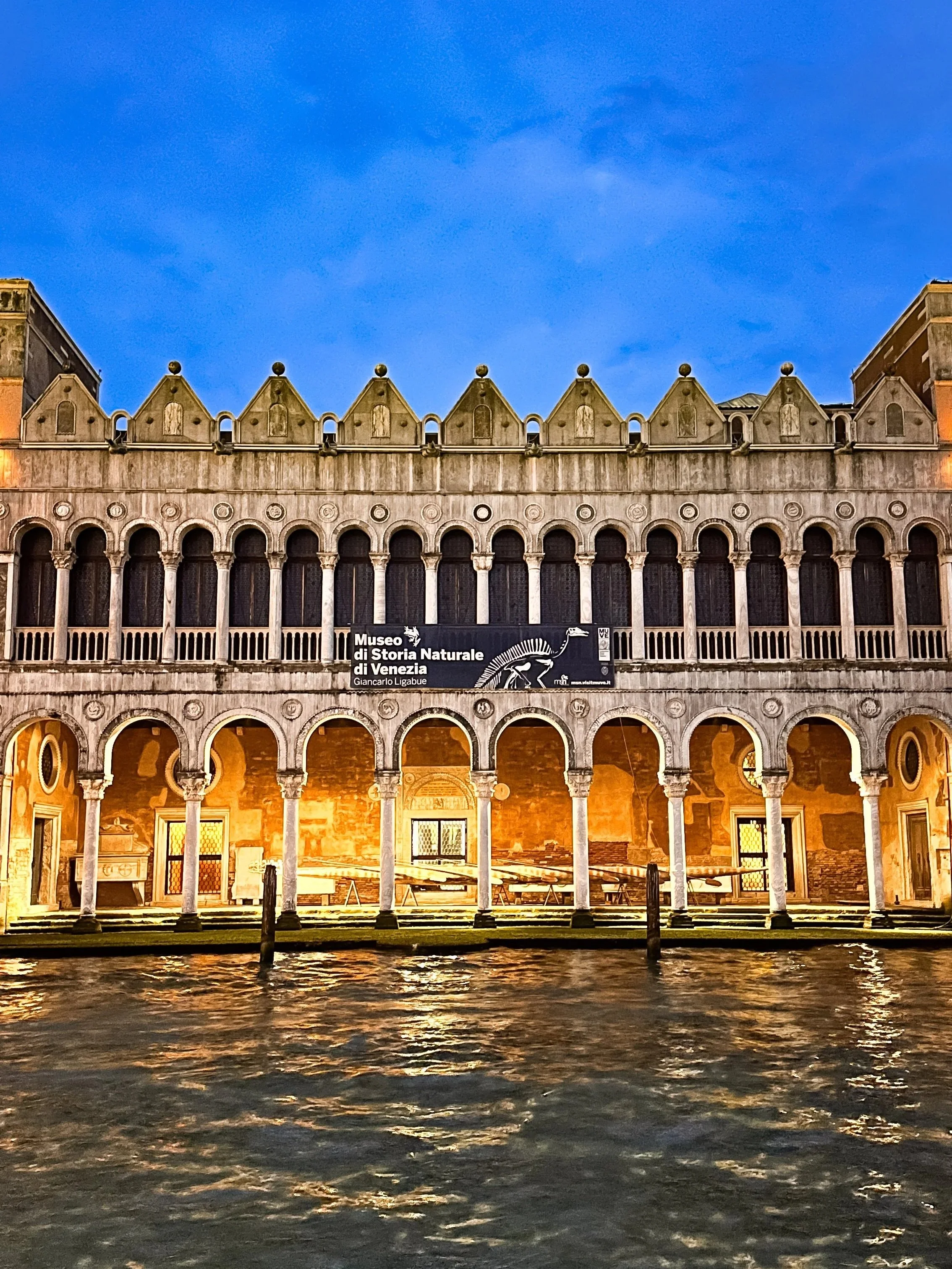 wander-senses-museo-di-storia-naturale-venice-outside-night-view.jpg