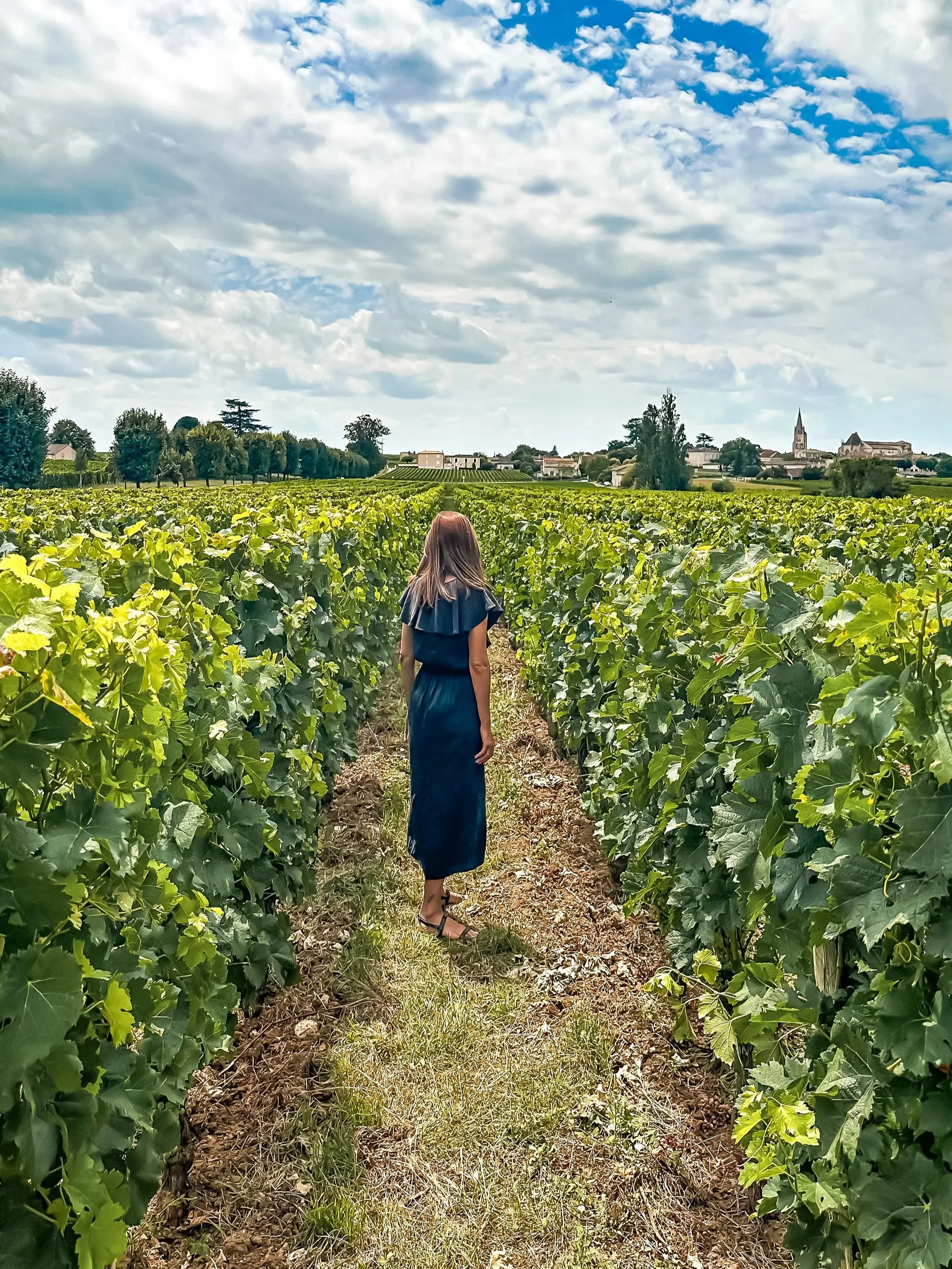 wander-senses-saint-emilion-chateau-soutard-vineyards.jpg