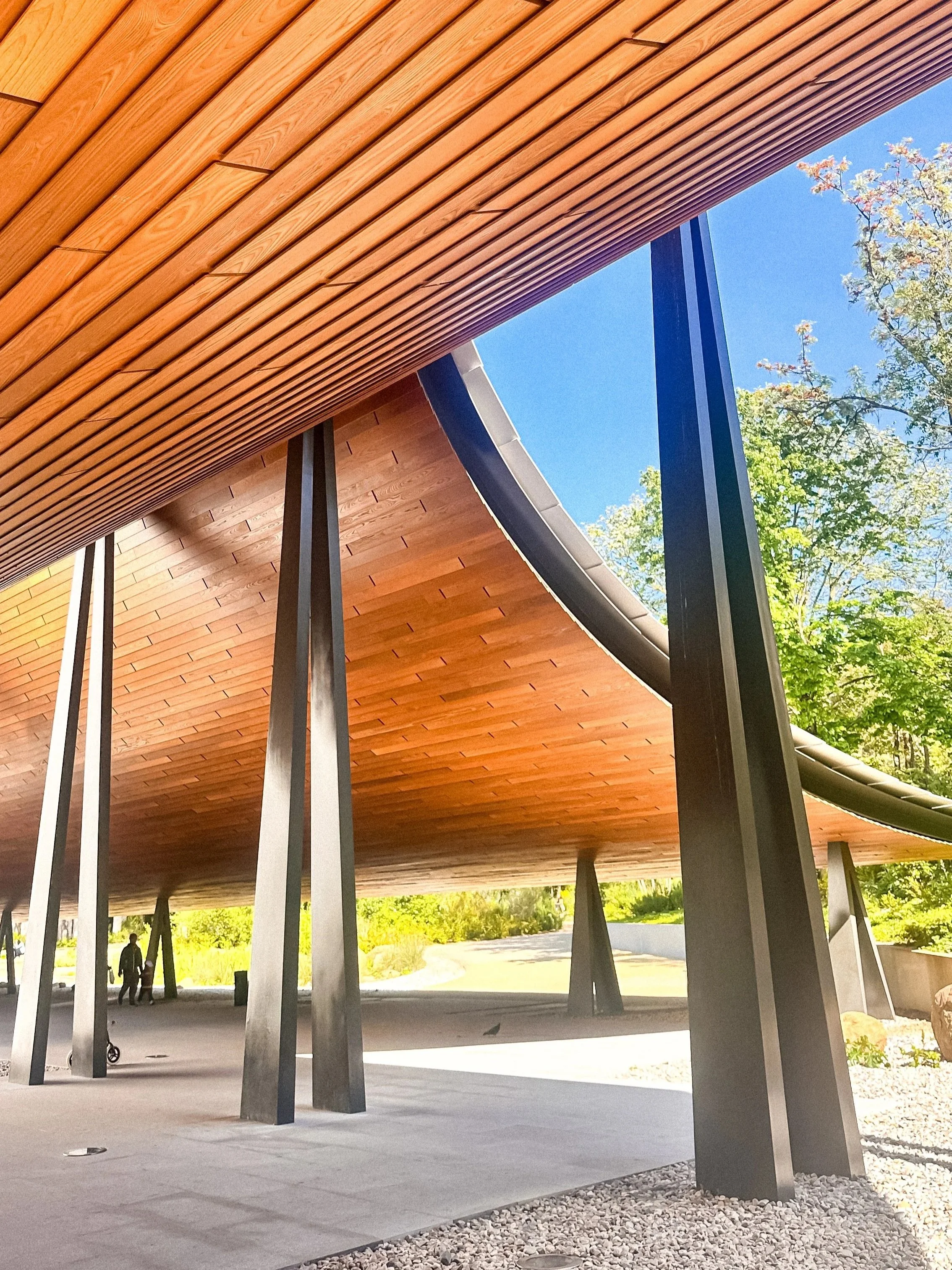wander-senses-centro-de-arte-moderna-gulbenkian-lisboa.jpg