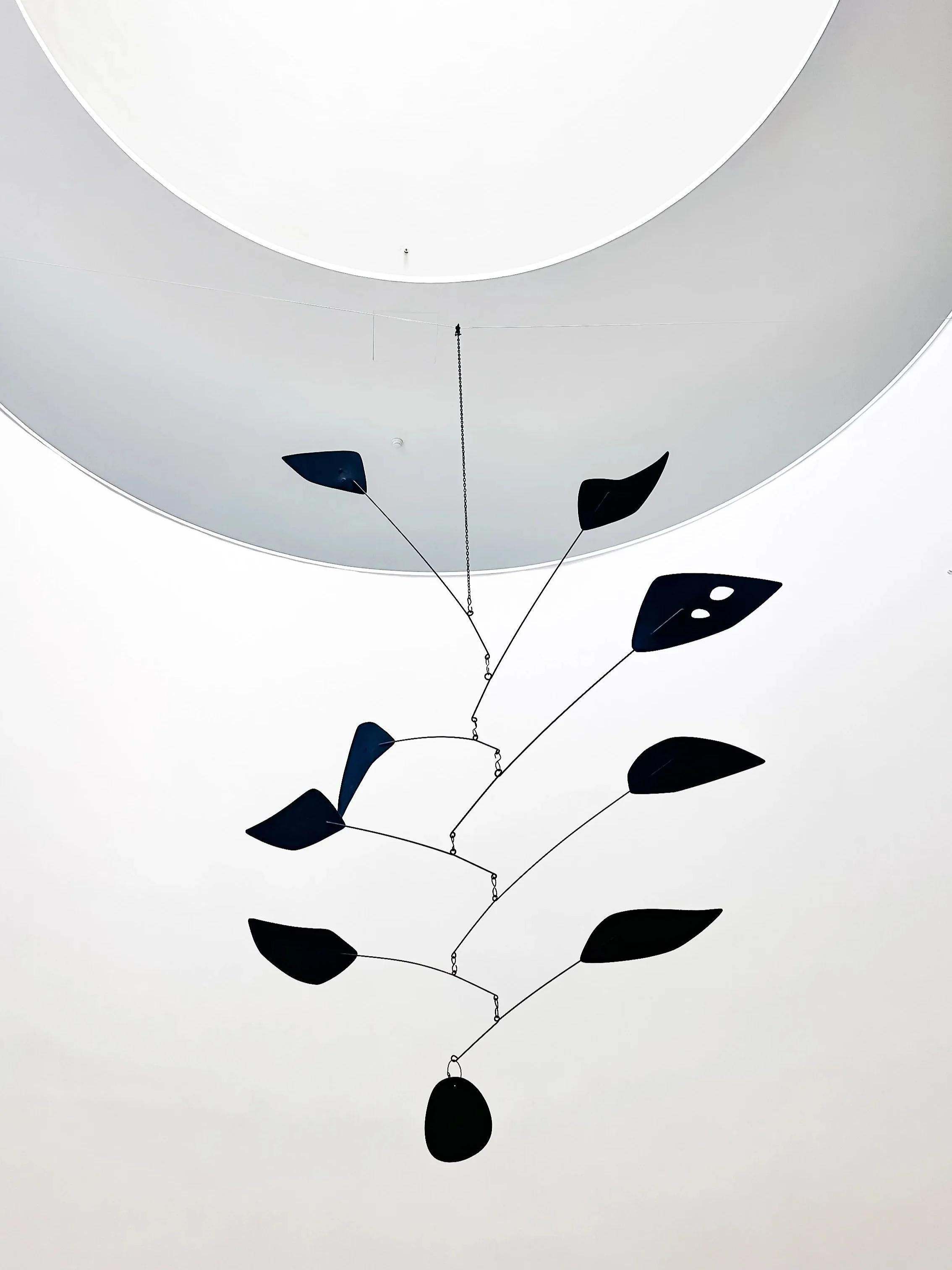 wander-senses-mac-ccb-museum-lisbon-contemporary-art-collection-alexander-calder-artwork.jpg