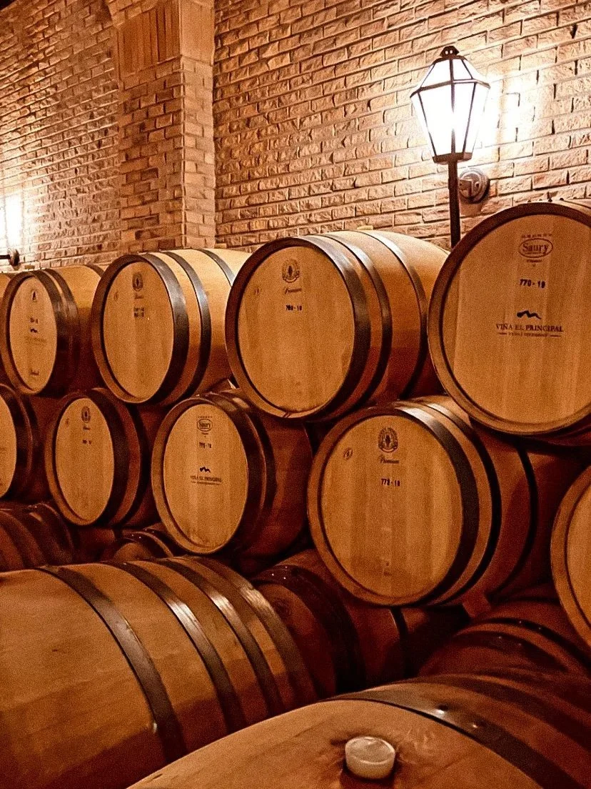 wander-senses-wine-barrel-Vi%C3%B1a-el-principal-vineyard-santiago-chile.jpg