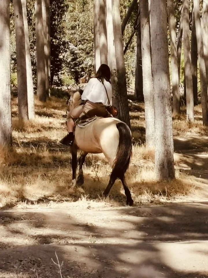wander-senses-couple-horse-riding-maipo-valley-santiago-chile.jpg