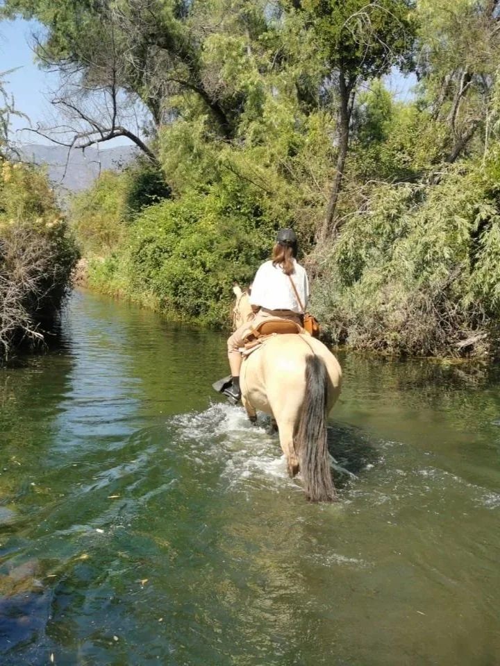 wander-senses-river-horse-riding-maipo-valley-santiago-chile.jpg