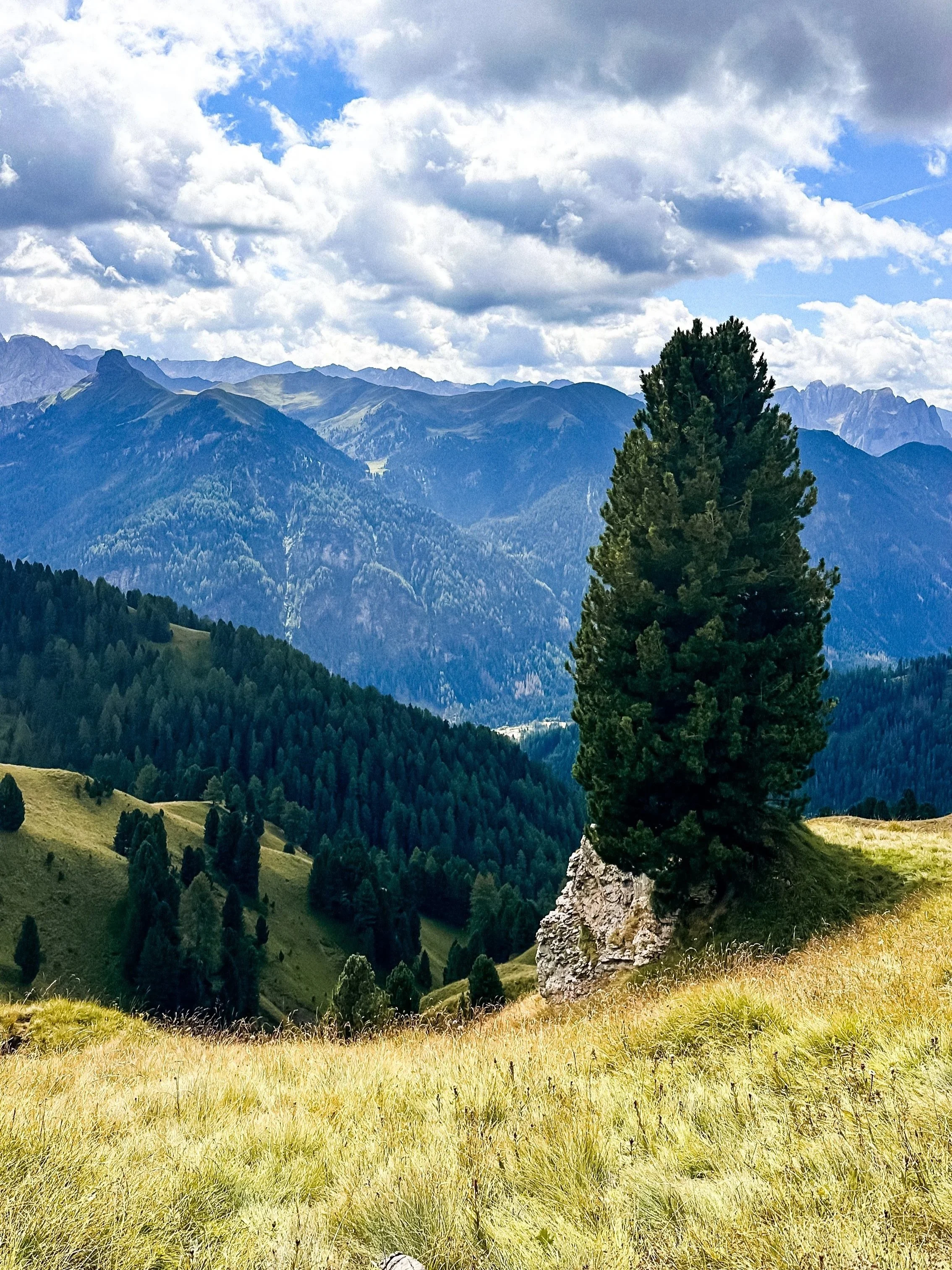 wander-senses-Sassolungo-dolomites-italy.jpg