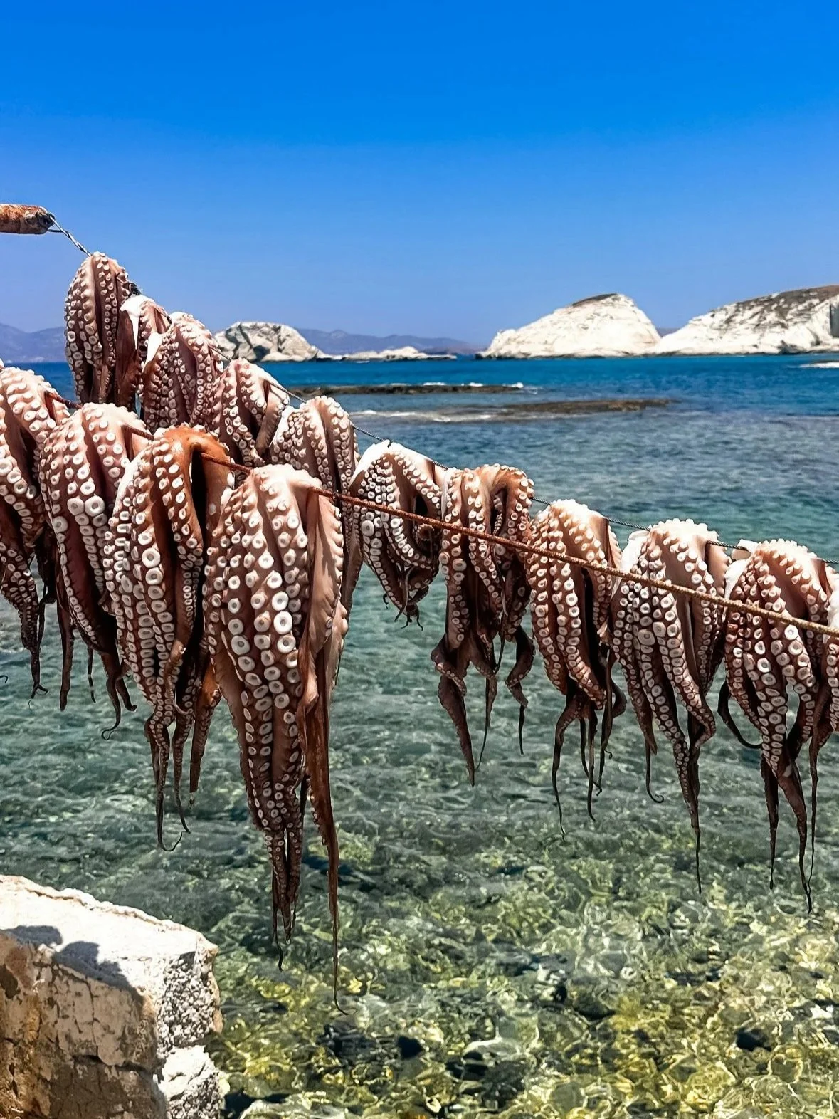 wander-senses-milos-mandrakia-seafood.jpg