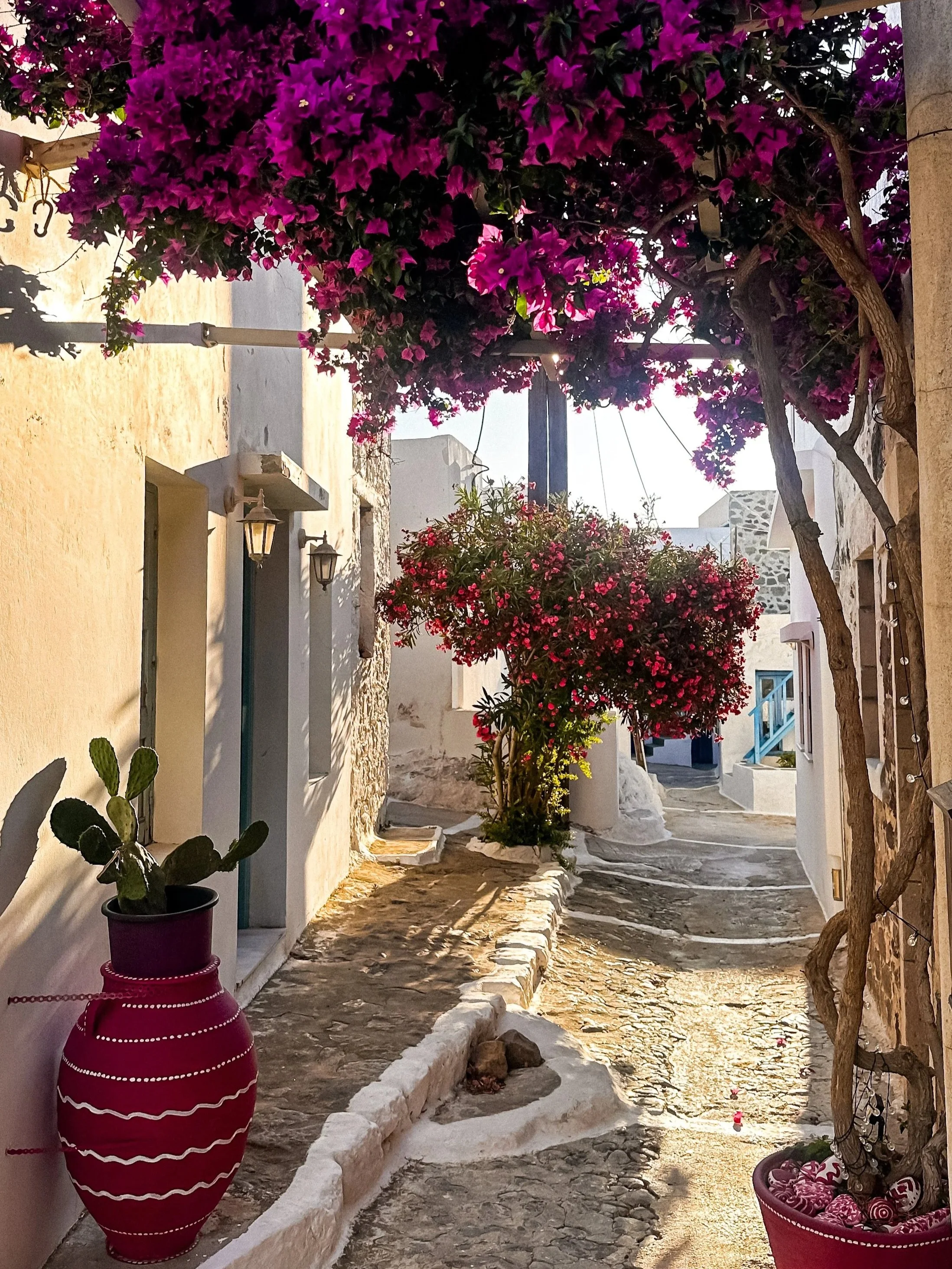 wander-senses-milos-plaka-street-04.jpg