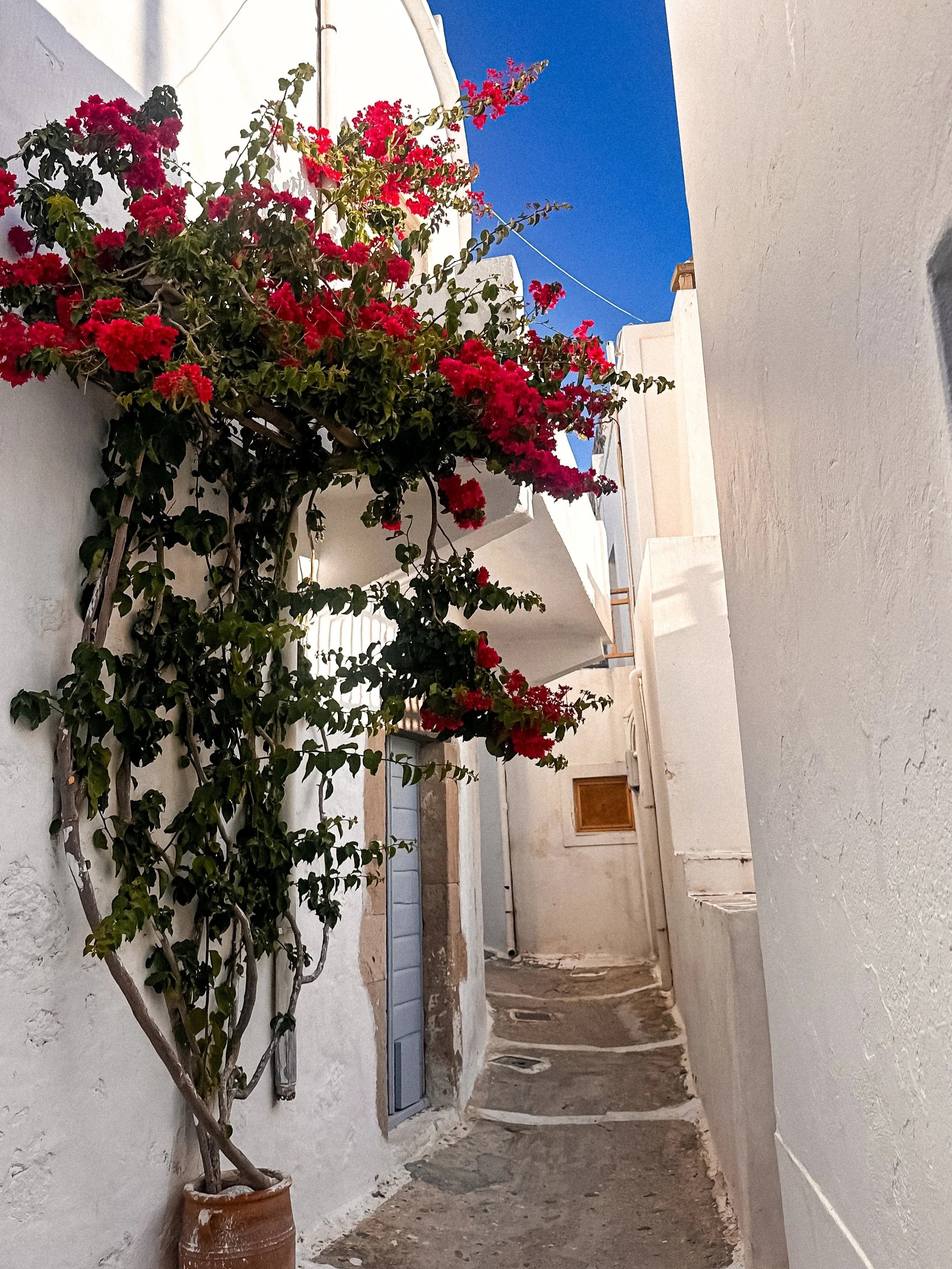 wander-senses-milos-plaka-street-03.jpg