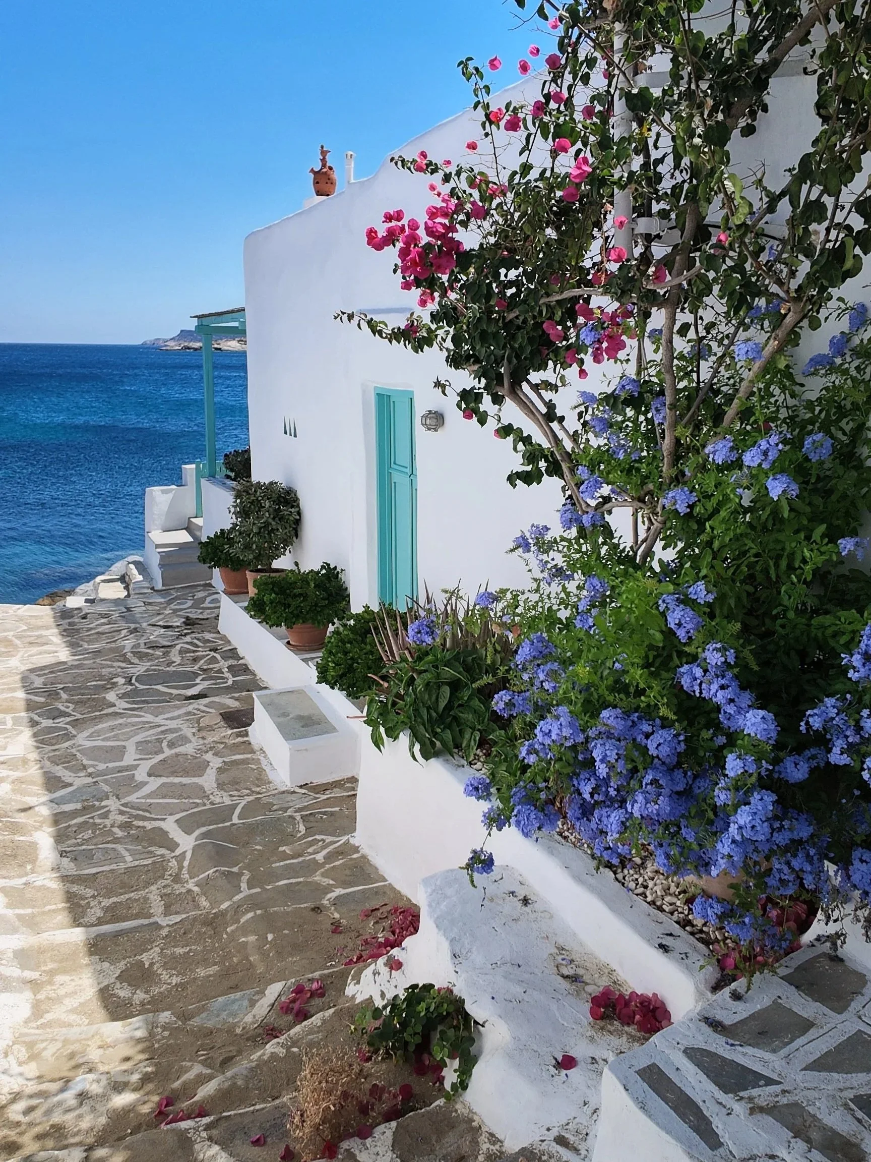 wander-senses-sifnos-faros-harbour.jpg