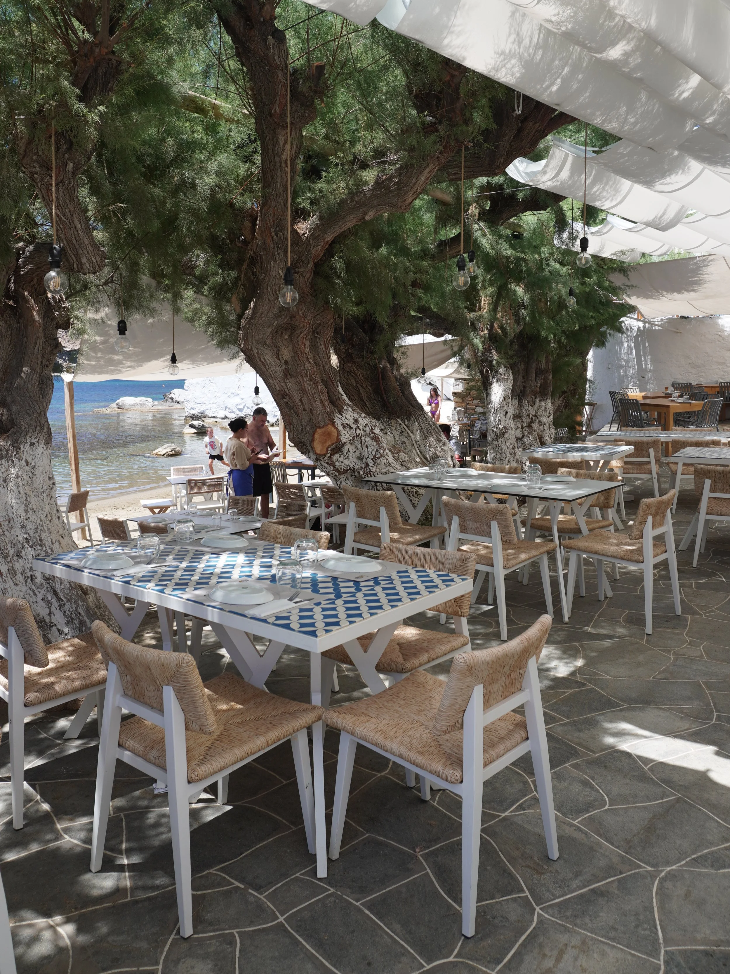 wander-senses-sifnos-seafront-taverna.png