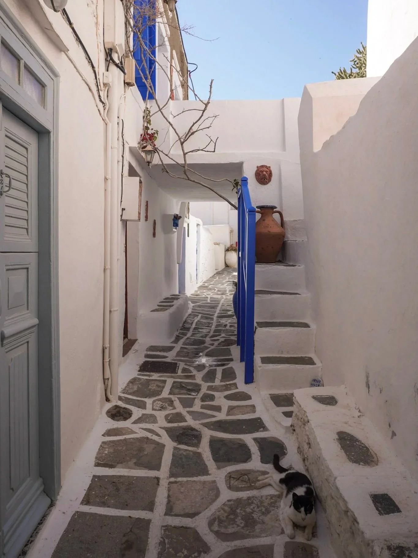 wander-senses-sifnos-kastro-architectur.jpg