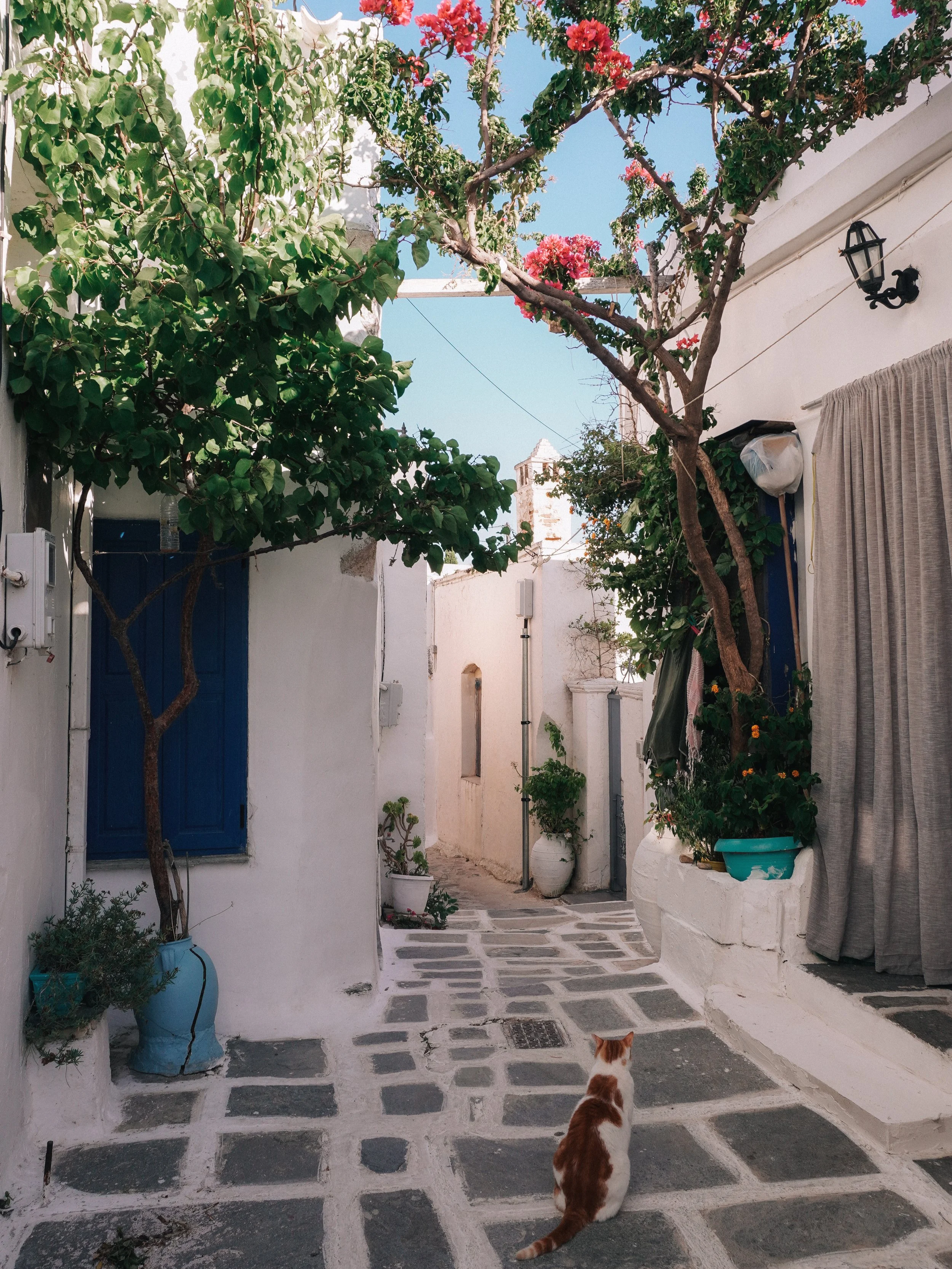 wander-senses-serifos-chora-white-houses.jpg.png