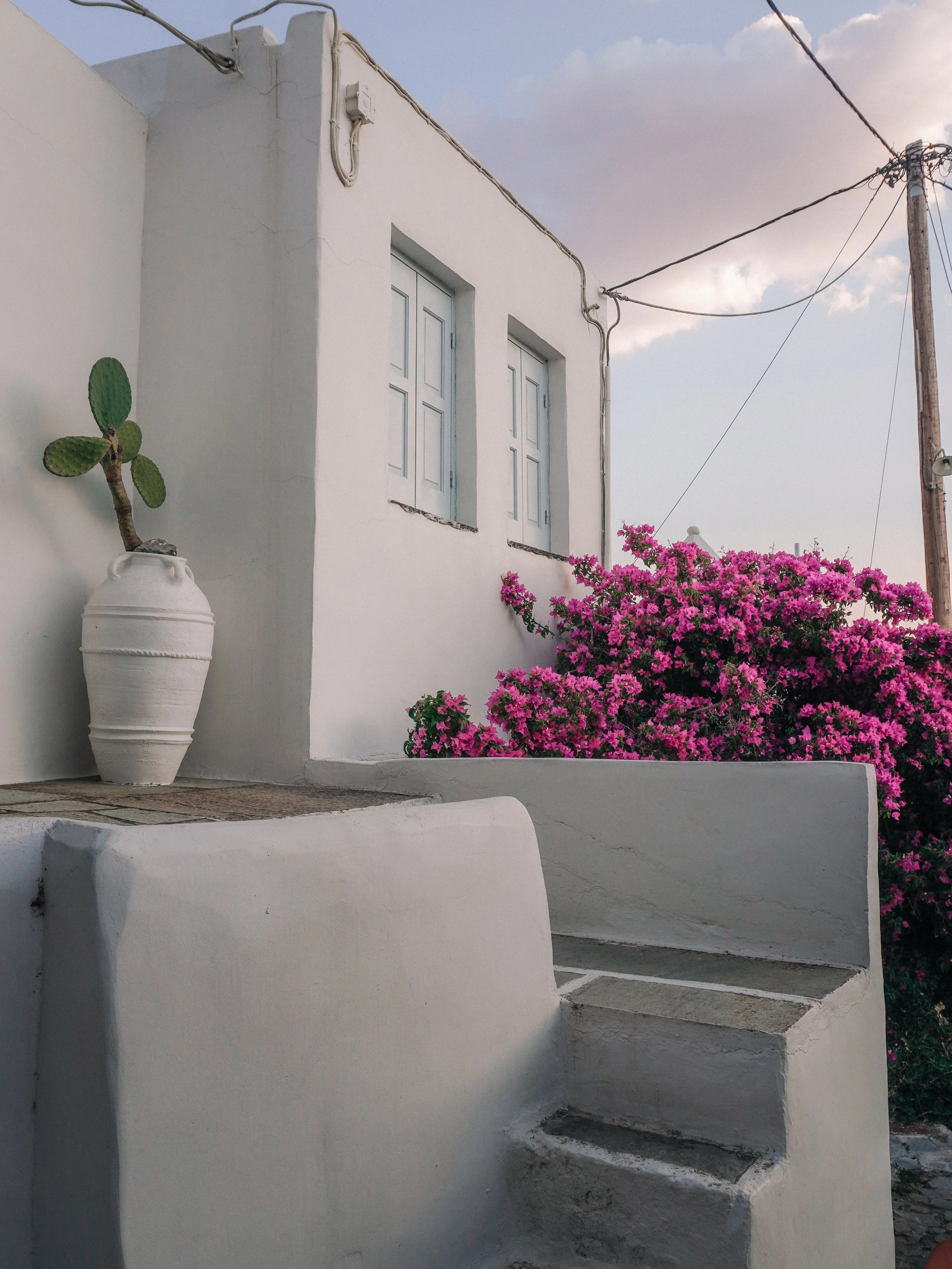 wander-senses-serifos-chora-bougainvillea.jpg.png