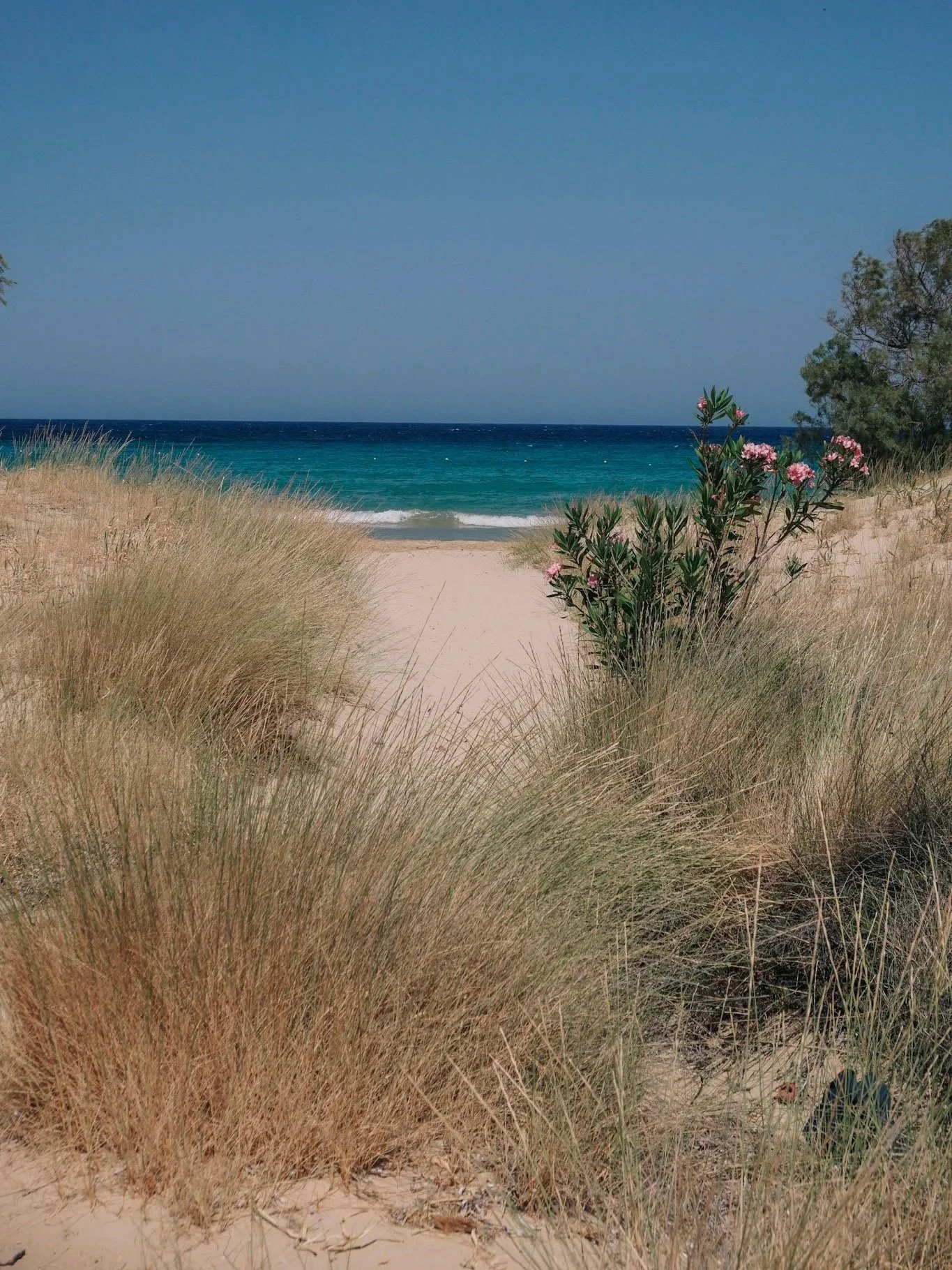 wander-senses-serifos-psili-ammos-beach.jpg