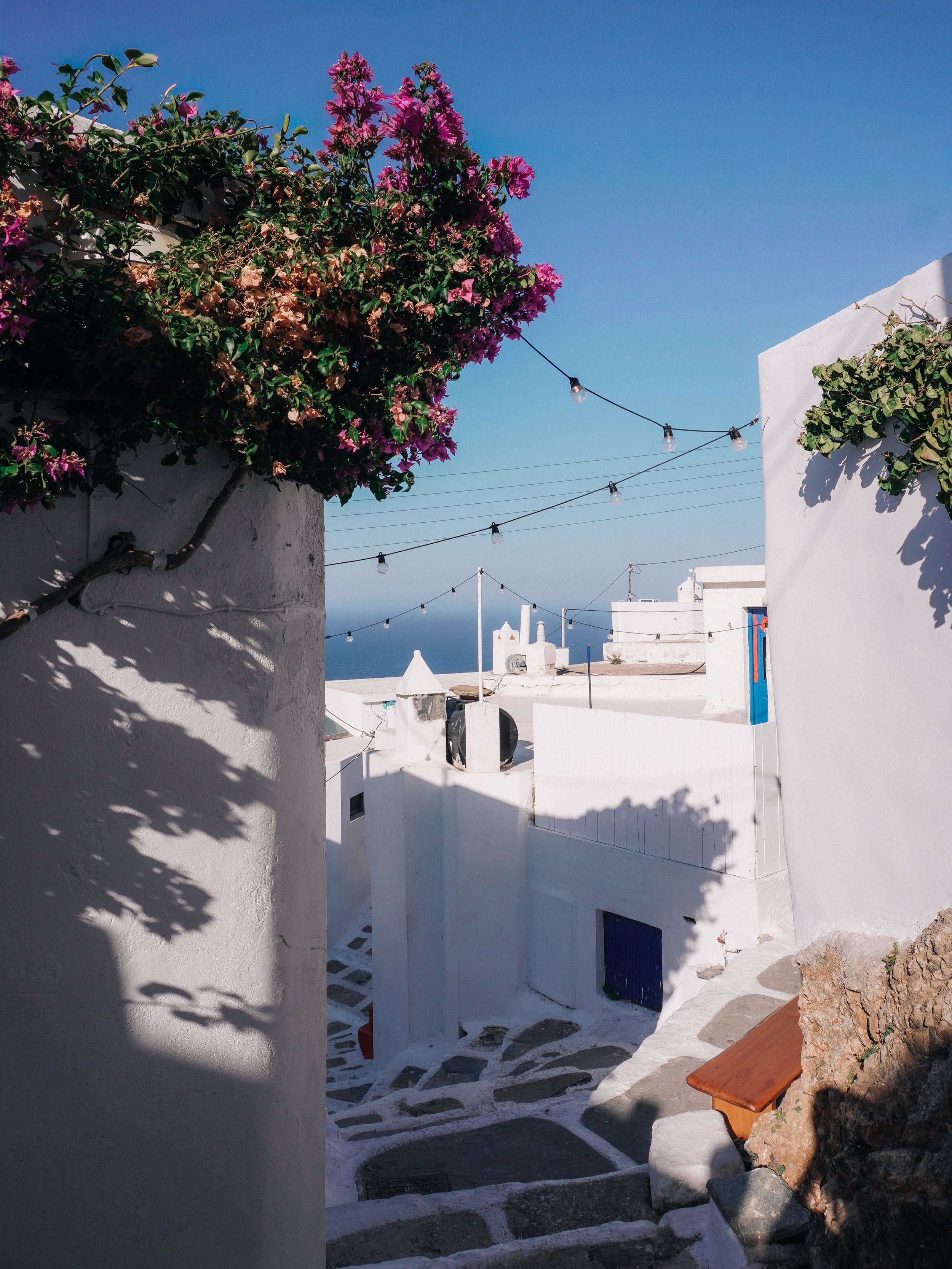 Every time I walked through Serifos Chora, I noticed something I hadn&rsquo;t seen before.

A doorway covered in bougainvillea. A tiny chapel tucked between the houses. A cat asleep on a doorstep. A quiet little street that somehow wasn&rsquo;t there