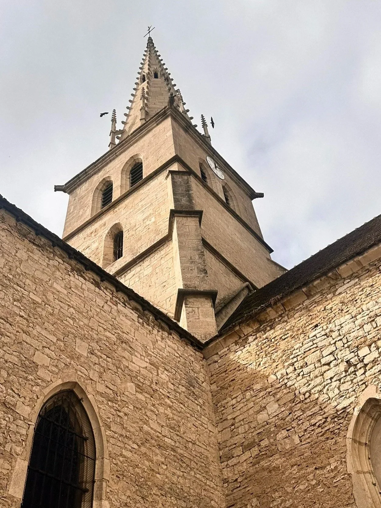 49-IMG_3923.jpg