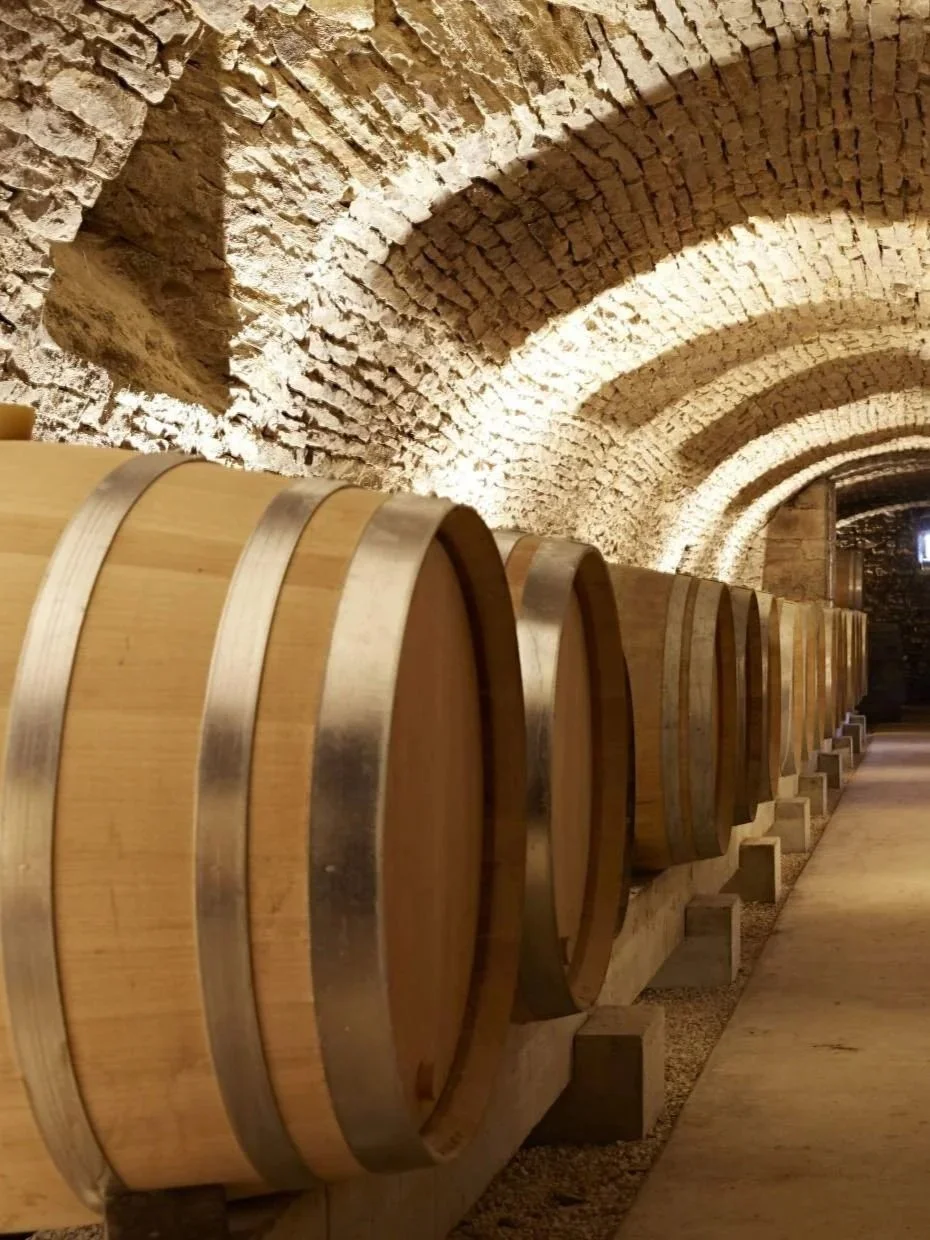 cave-j.piffaut-oct-2020-3356.jpg