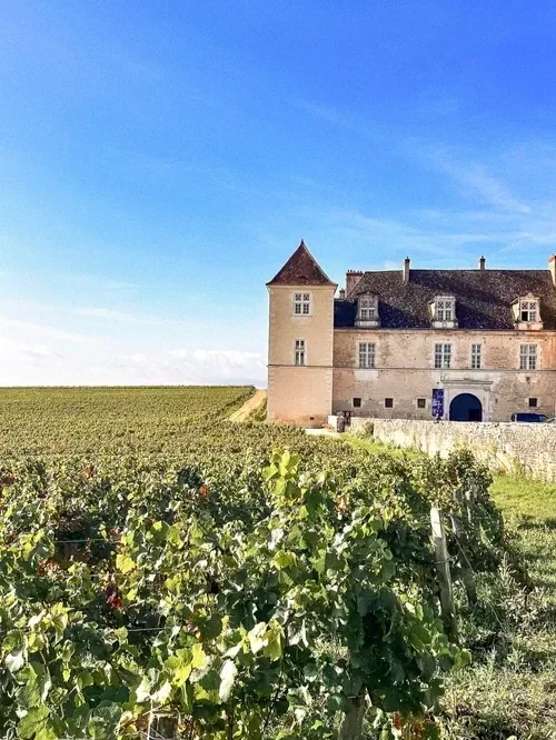 Burgundy: Vineyard Trails
