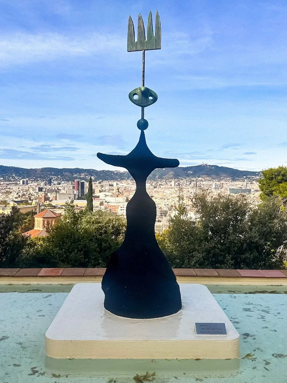 6-IMG_7203_jpg.jpg