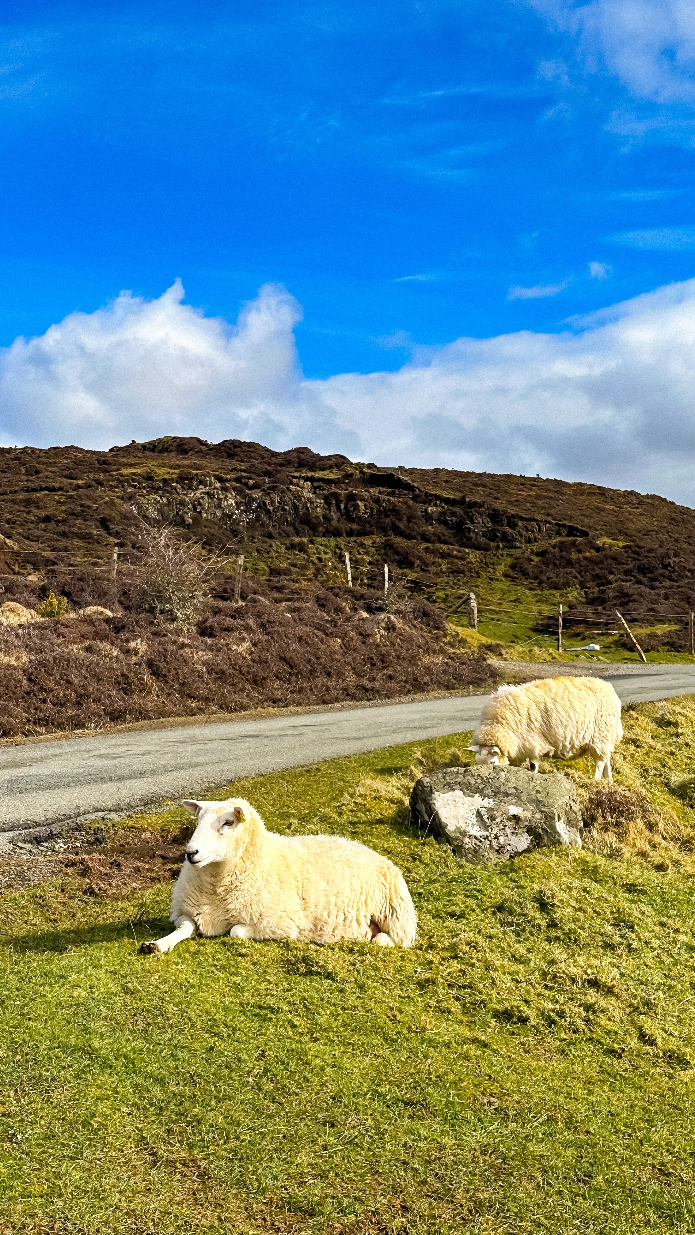 wander-senses-sheeps-skye-island-scotland.jpg