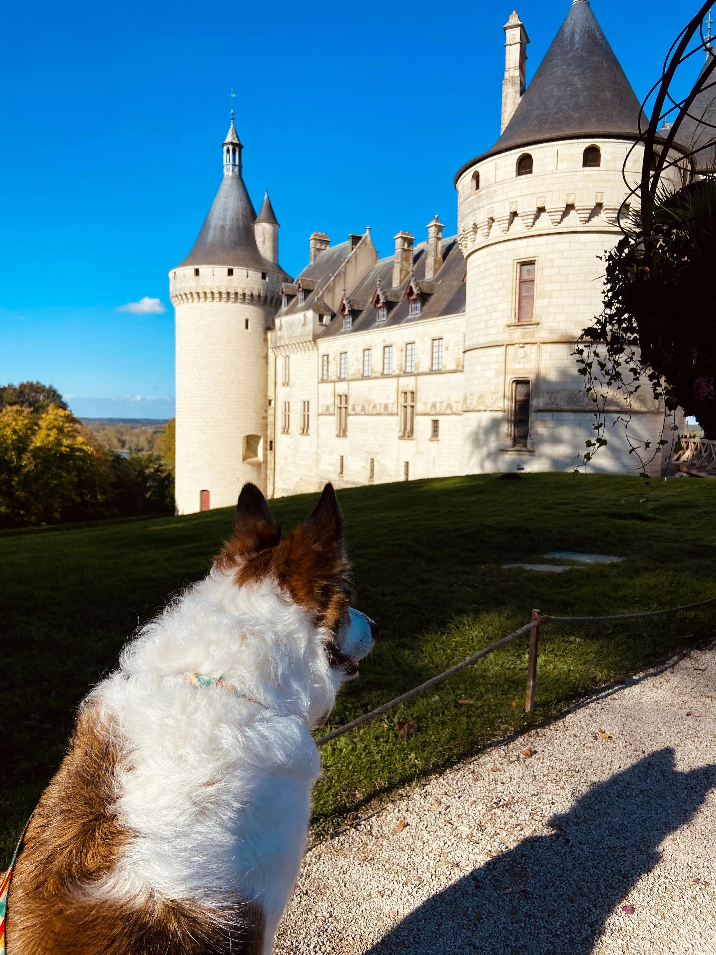 wander-senses-chateau-de-chaumont-sur-loire-france.jpg