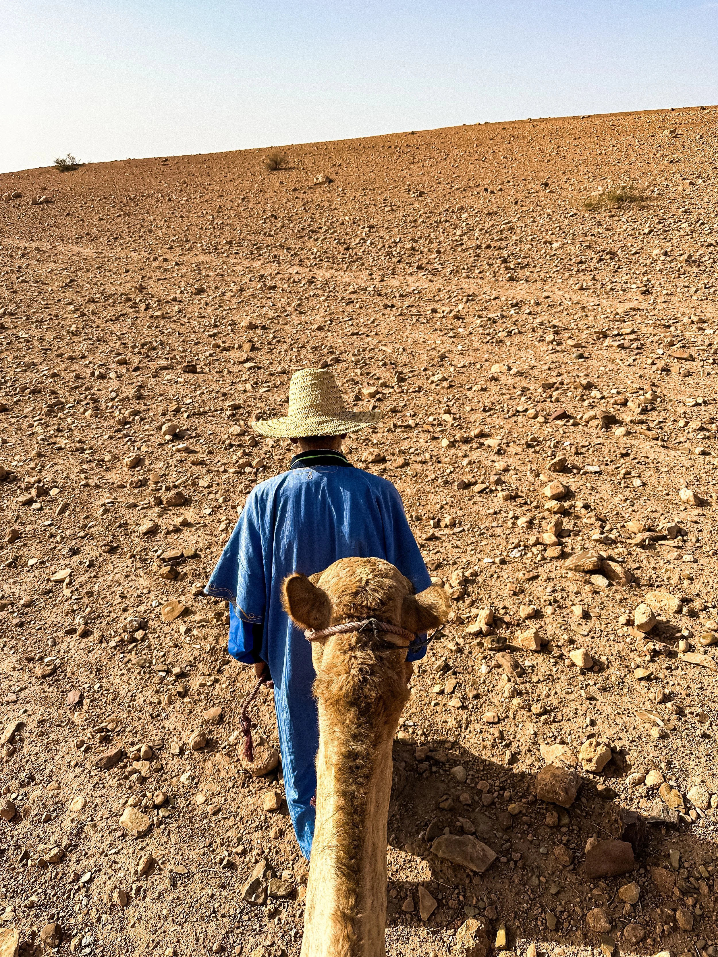 wander-senses-marrakech-agafay-desert-mand-and-camel.jpg