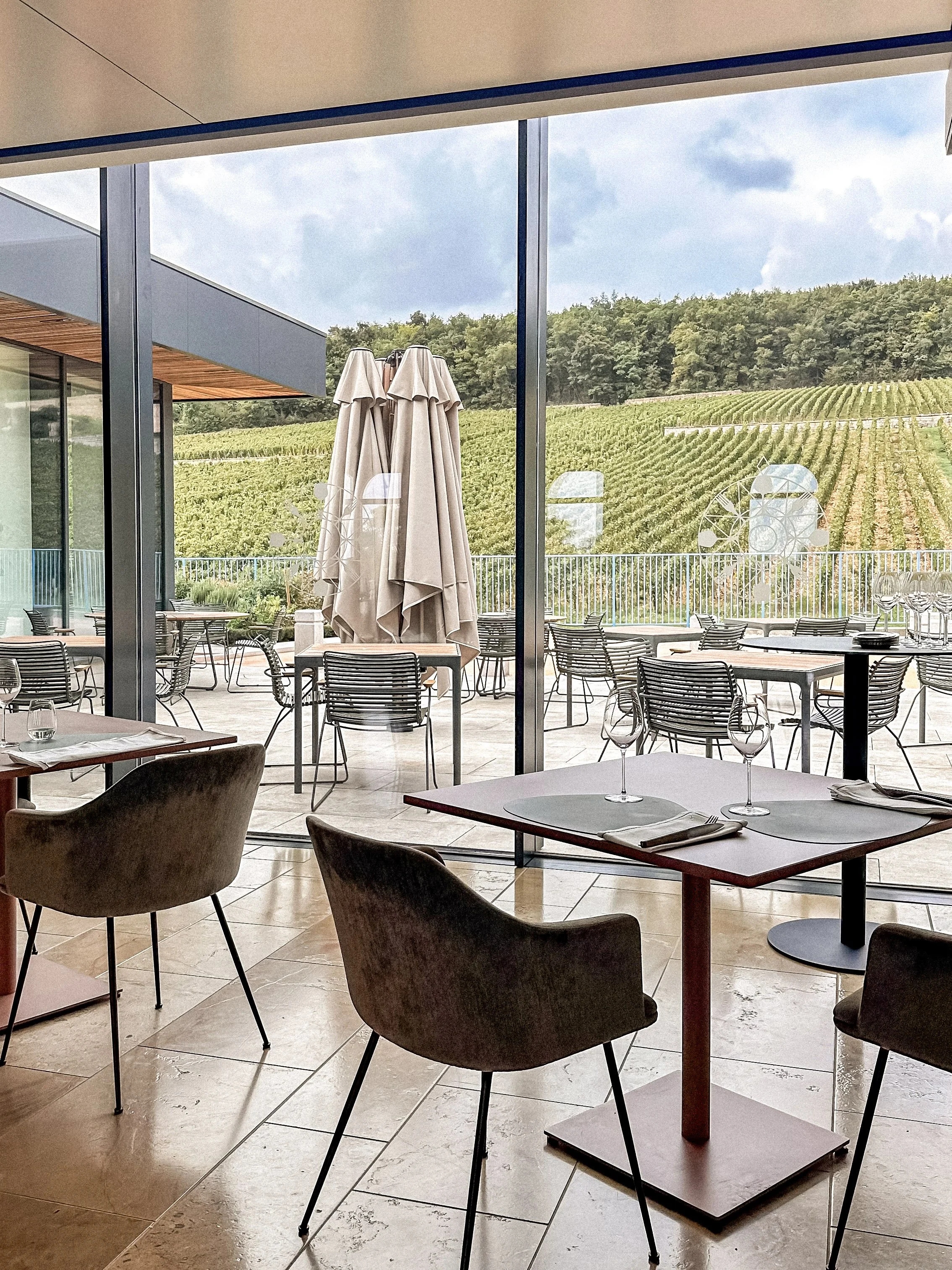 Views over the vineyards at Premnord Restaurant.