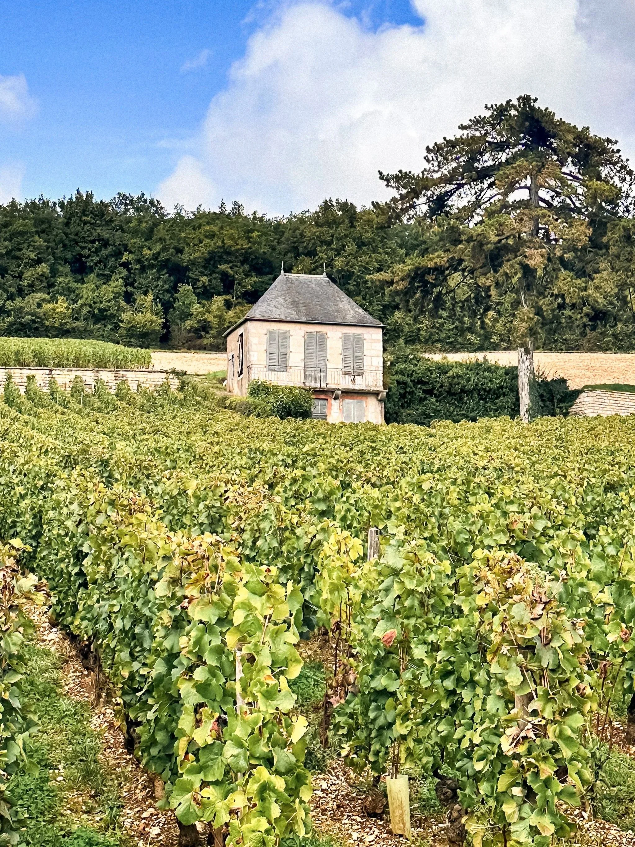 Premeaux-Prissey vineyards in Burgundy