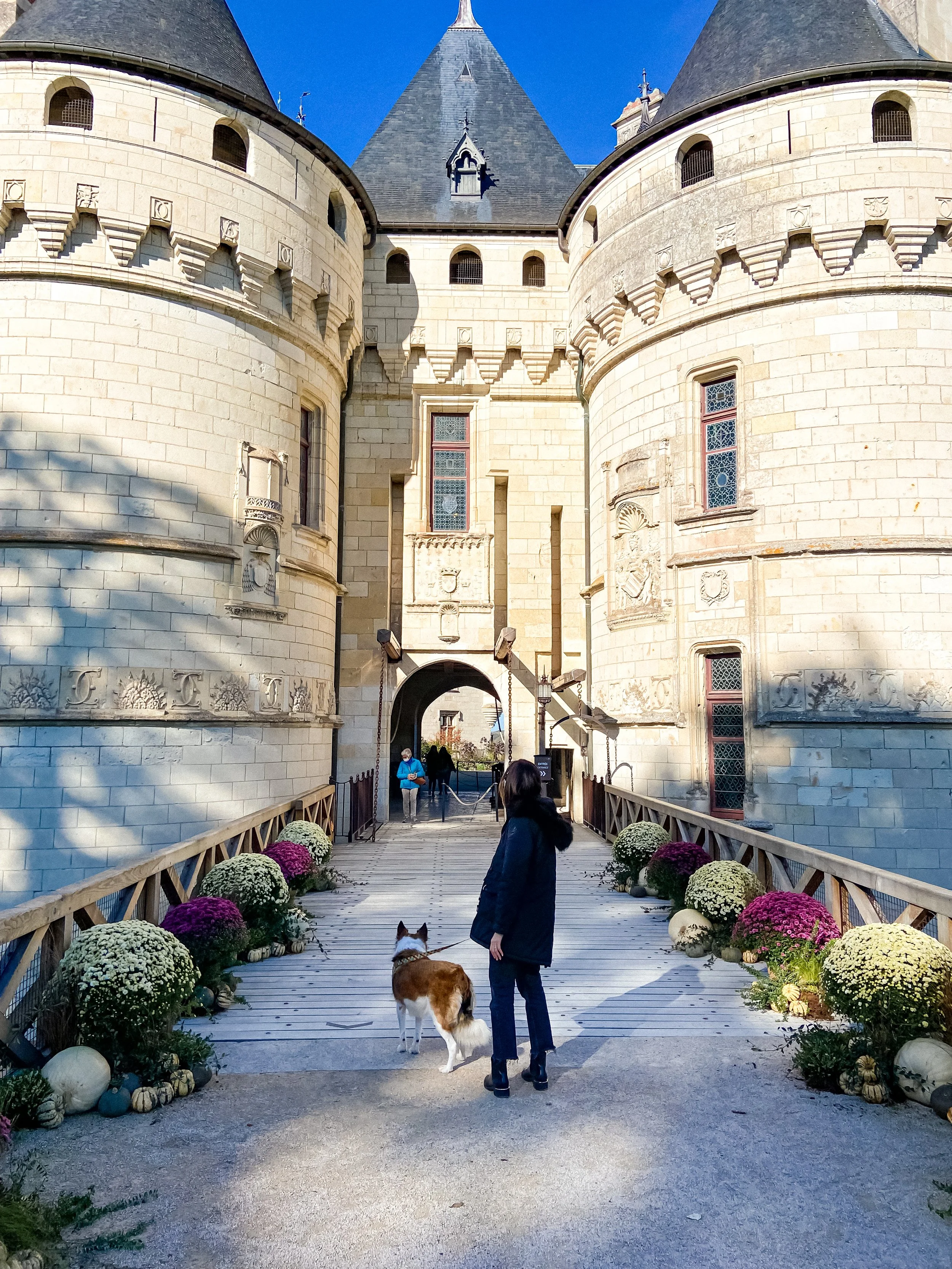 wander-senses-chateau-de-chaumont-sur-loire-france.jpg