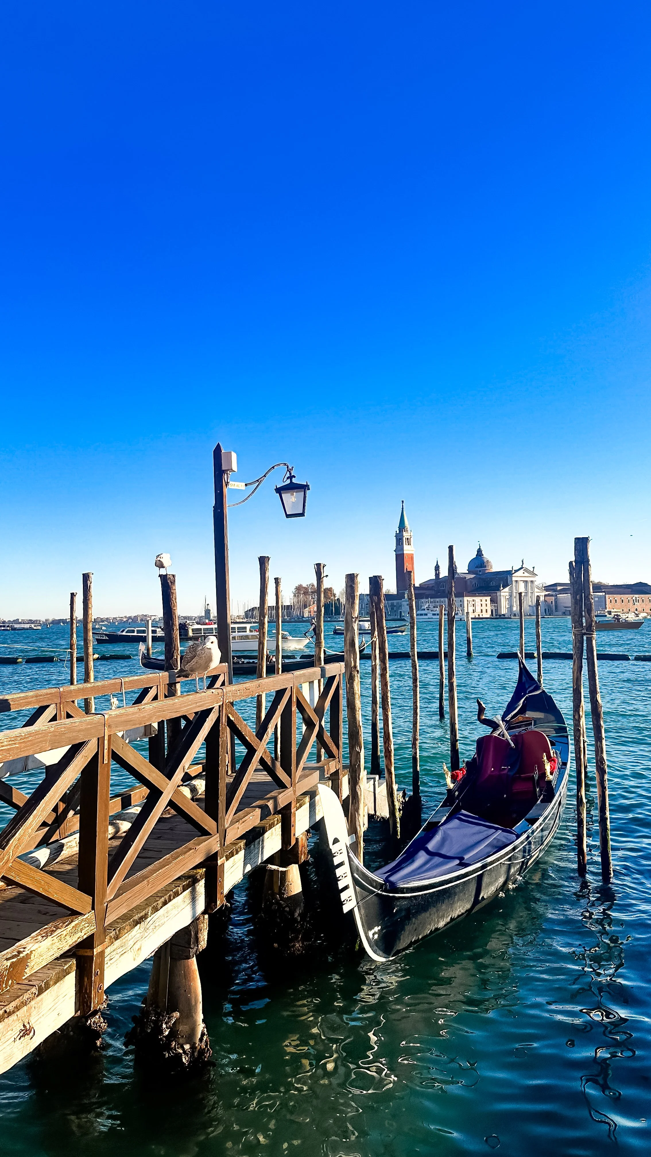 wander-senses-piazza-san-marco-front-canal-gondolas-seagulls-venice.jpg