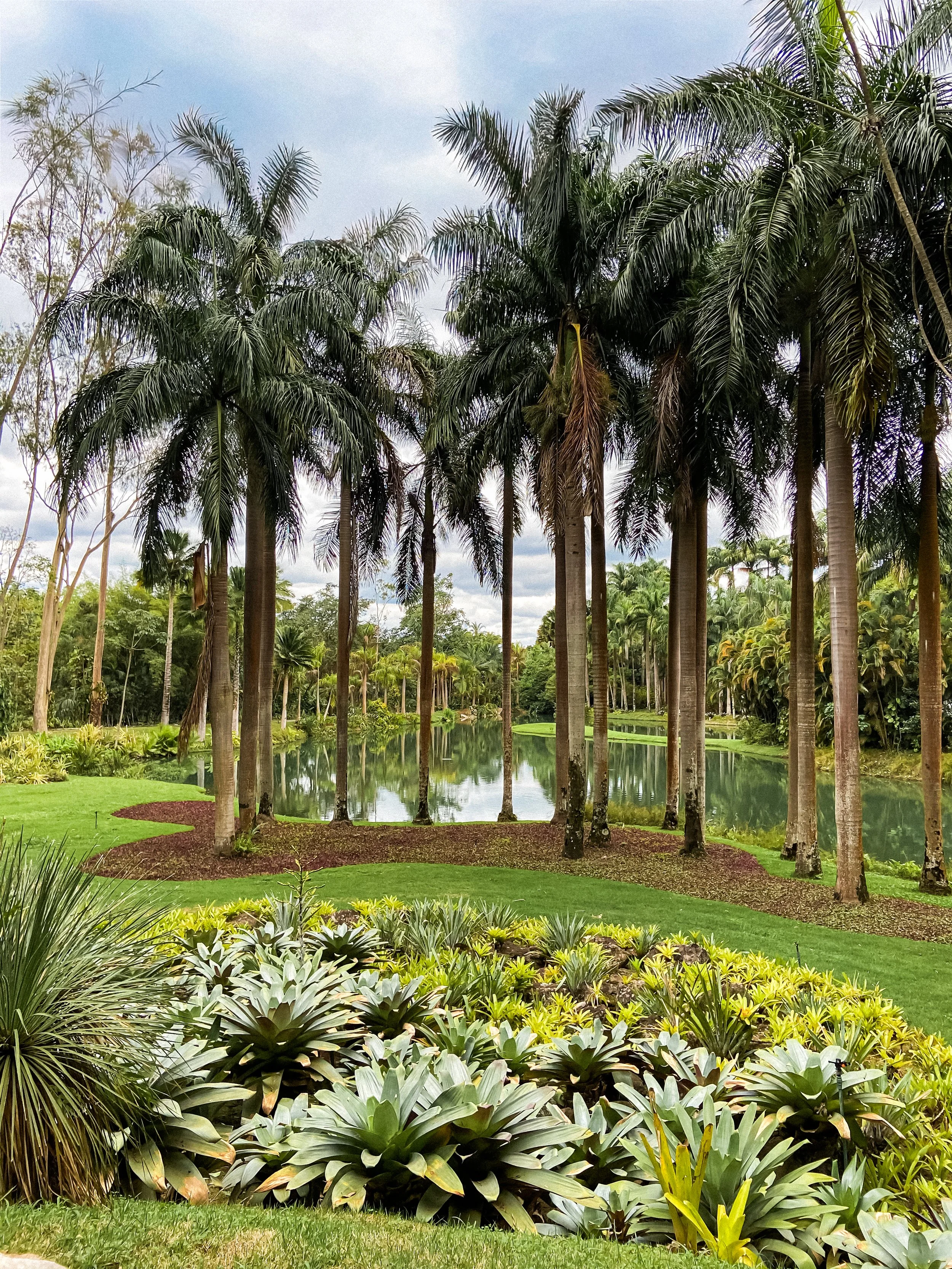 wander-senses-travel-inhotim-brazil-botanical-gardens-palm-trees.jpg