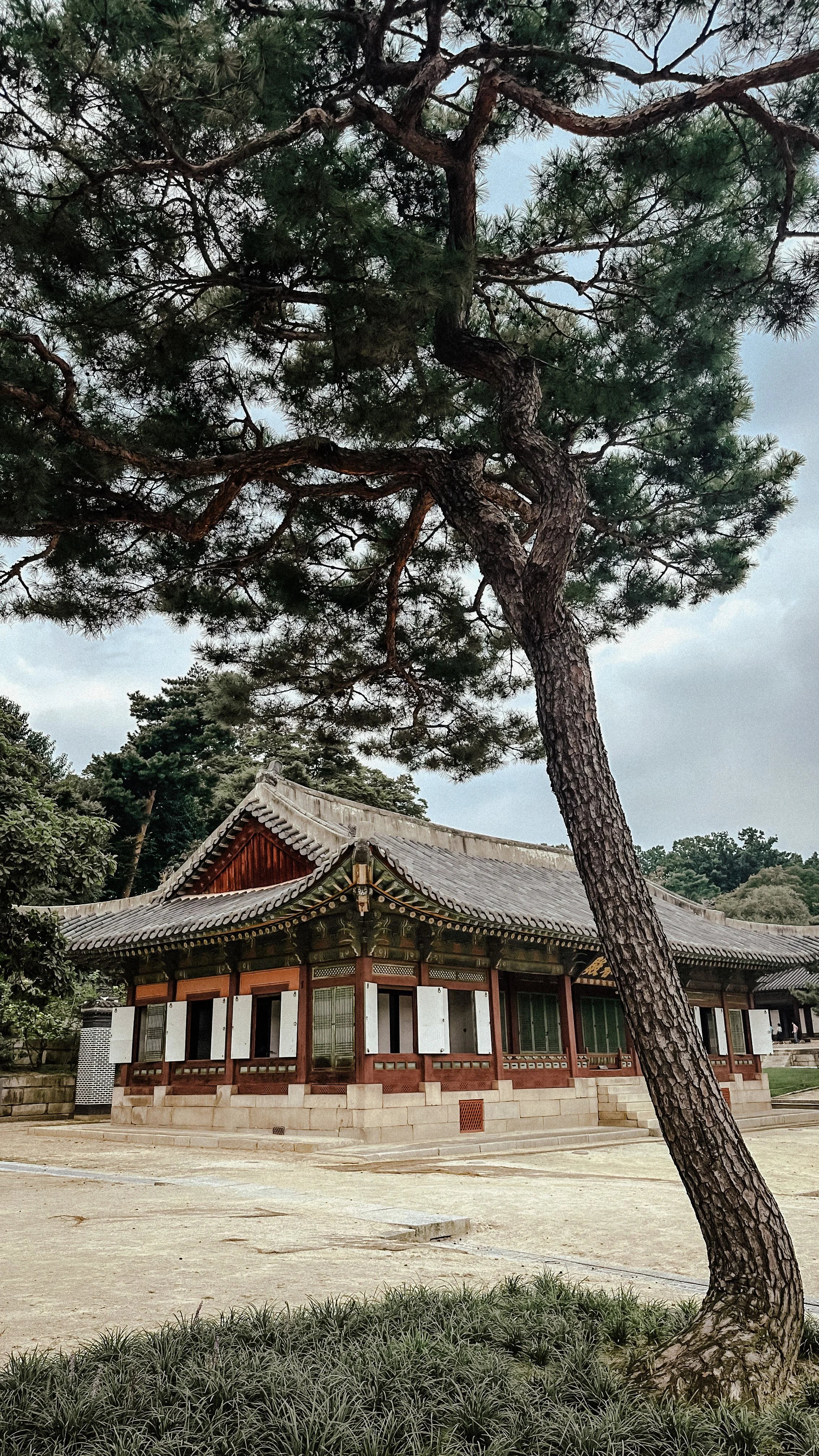 Seoul: Immersive City Guide