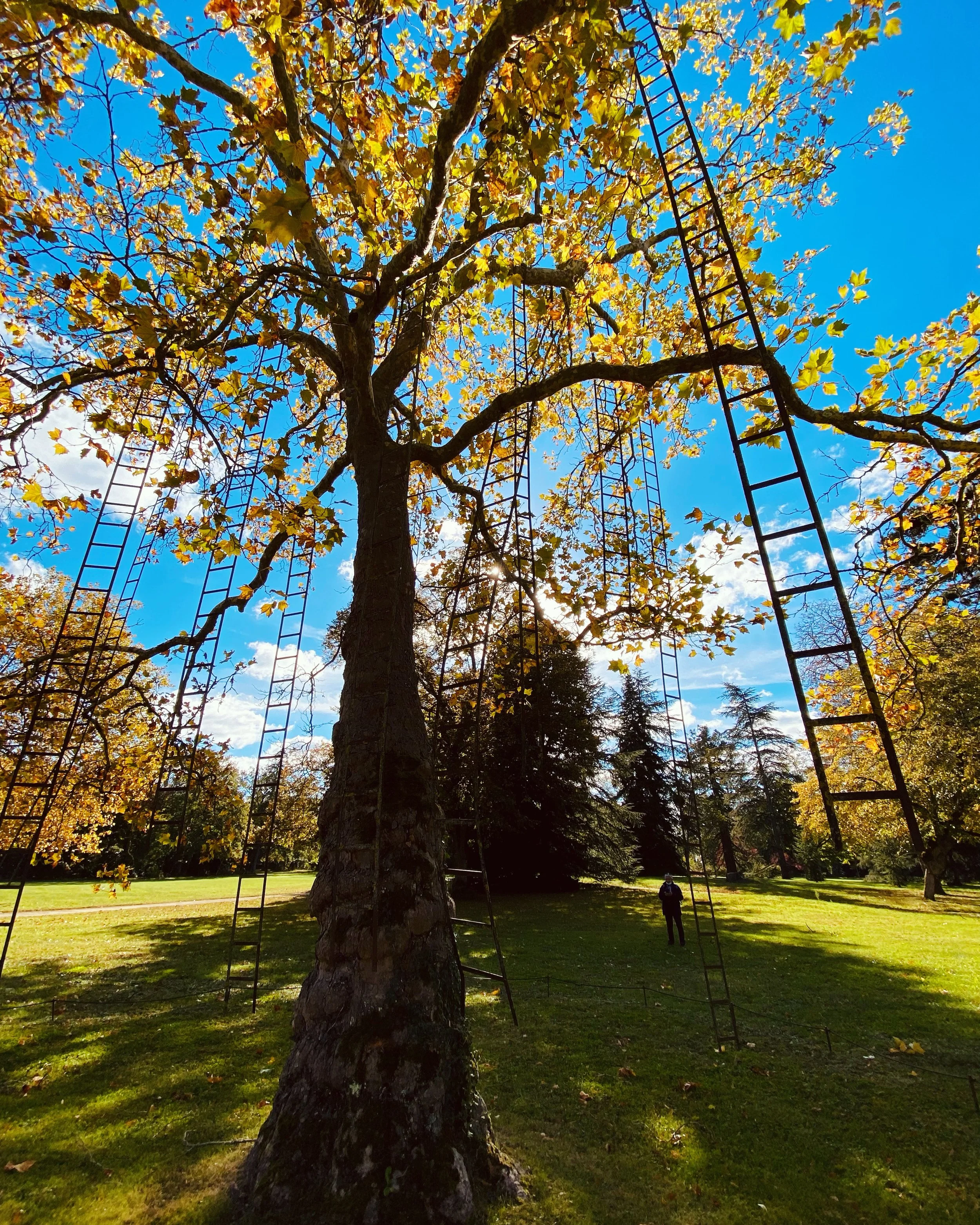 wander-senses-gardens-of-chateau-de-chaumont-sur-loire-france.jpg
