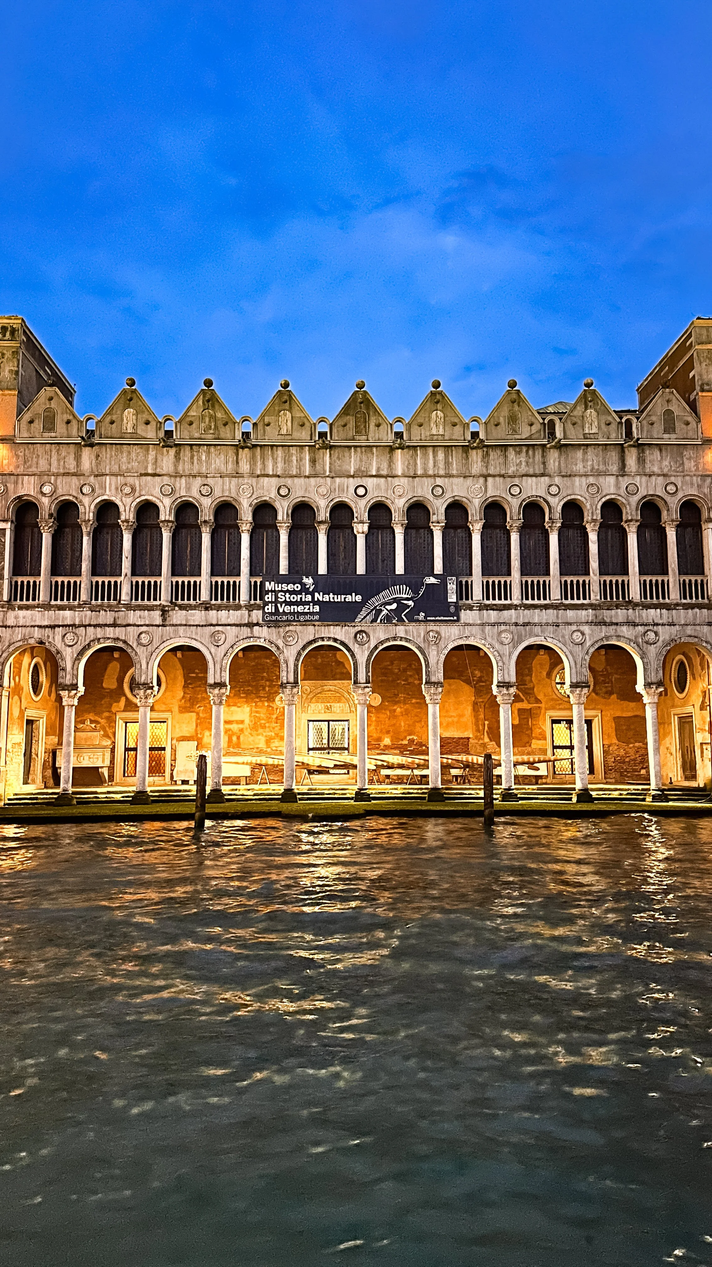 wander-senses-museo-di-storia-naturale-venice-outside-night-view.jpg