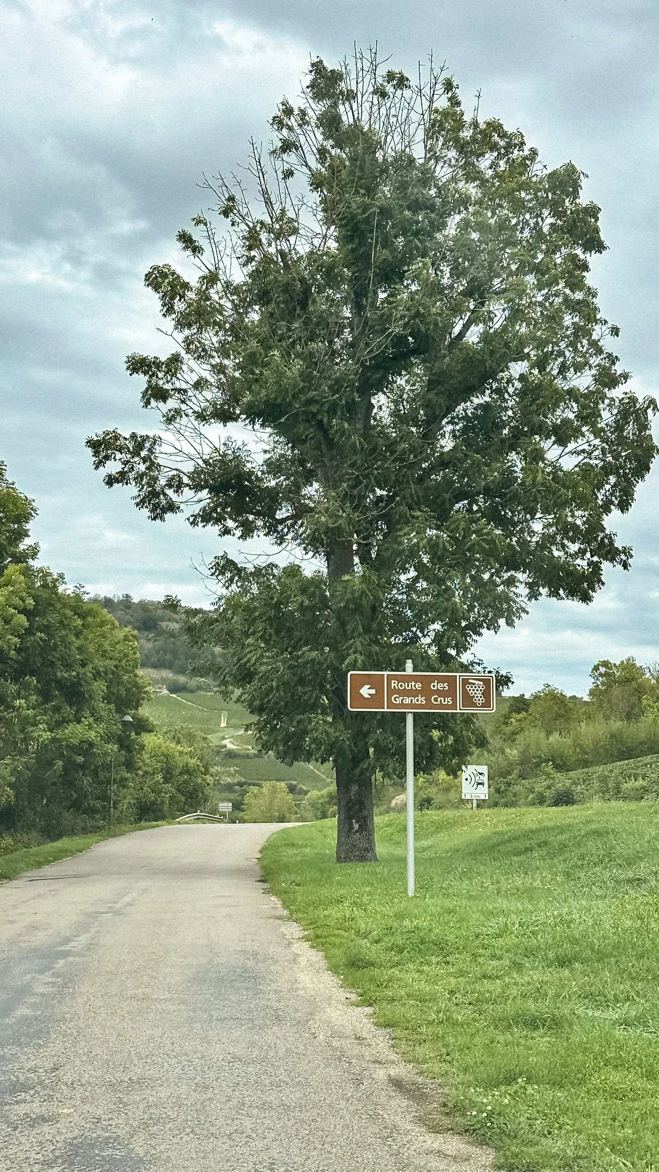 Route des Grands Crus in Burgundy