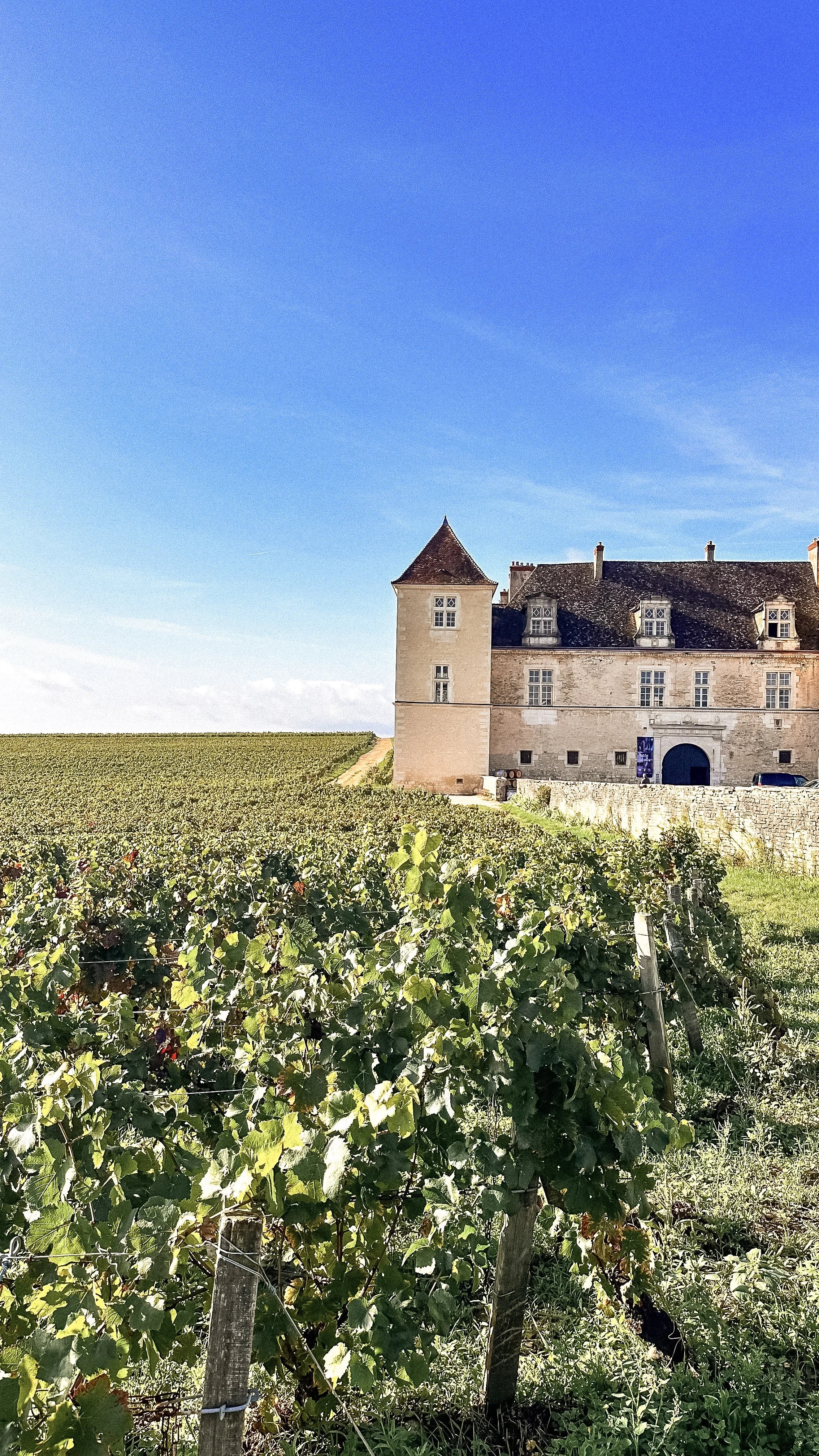 Exterior of Chateau du Clos Vougeot and the vineyards on a sunny day