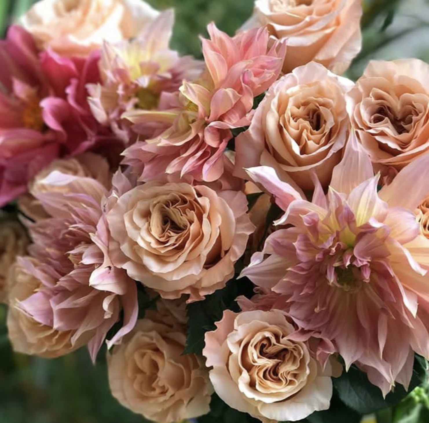 Screen Shot 2017-07-18 at 11.34.10 AM.png