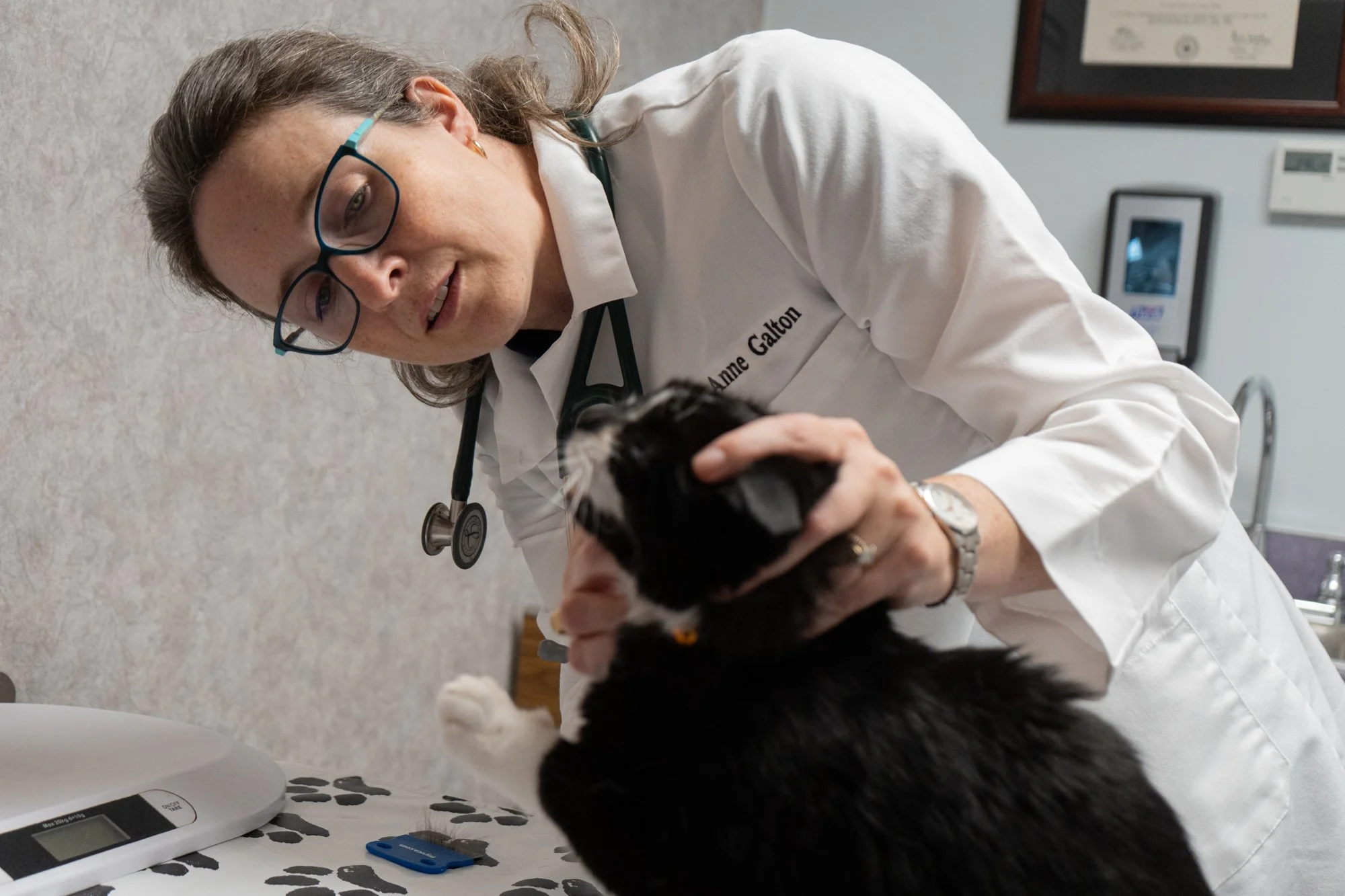 beckas_thegentledoctor_01.jpg
