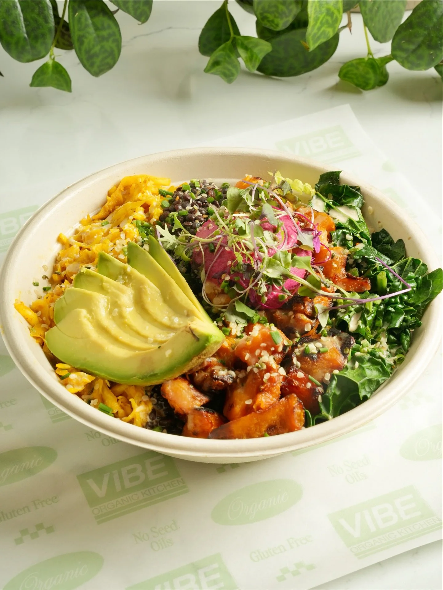 Our food is 100% organic and gluten-free. No seed oils. No soy. No refined sugar. 

Let&rsquo;s enjoy great food together. 🌱
Find us in Dana Point, Costa Mesa, and Newport Beach.