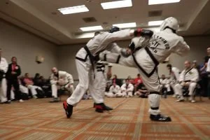 sparr1-300x200.jpg