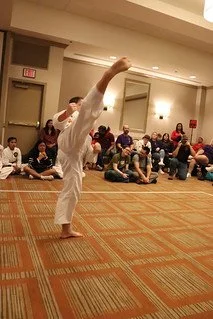 Turning-kick.jpg