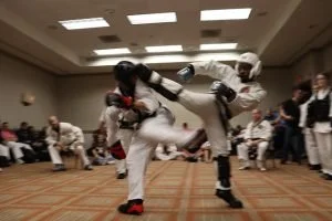 sparr2-300x200.jpg