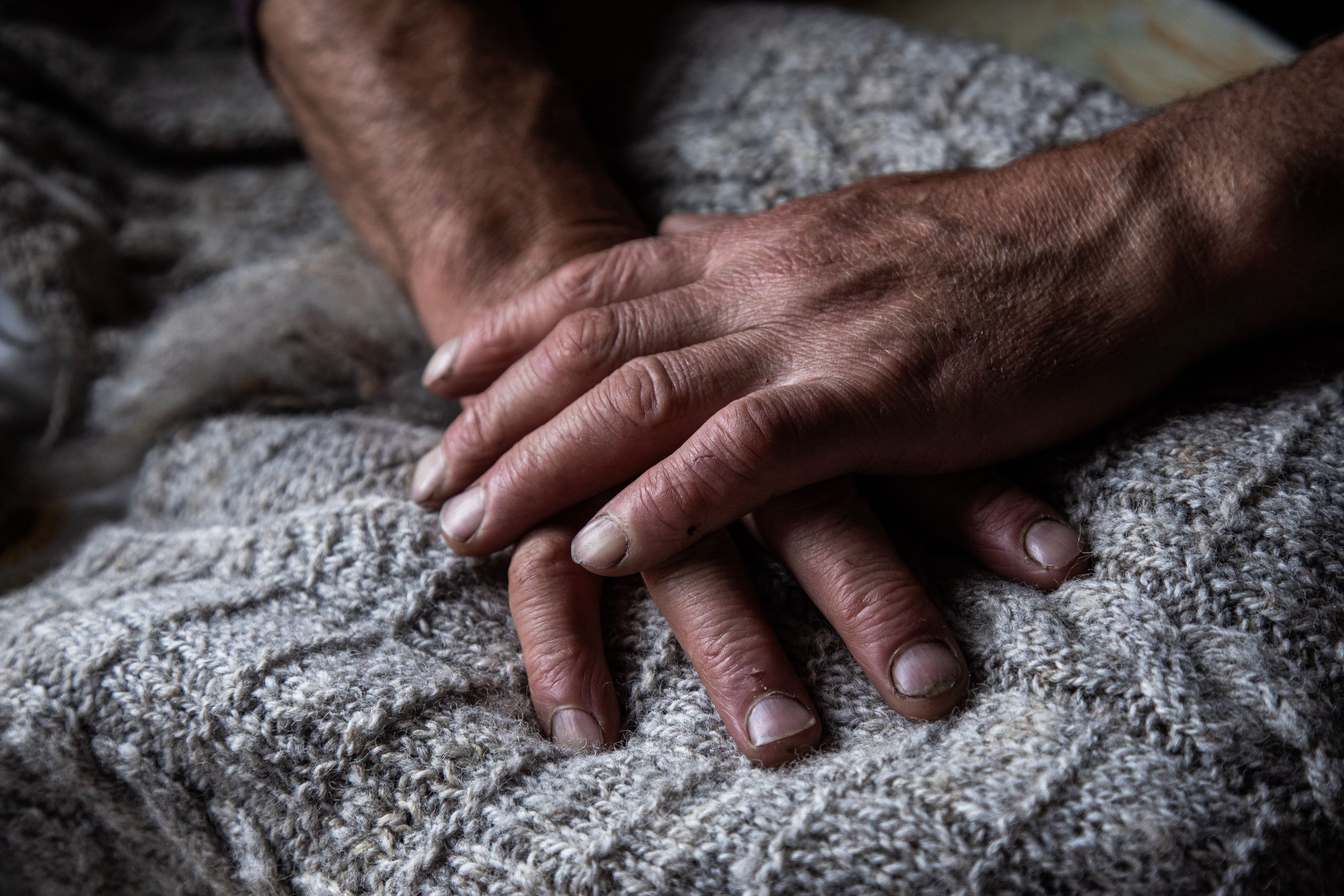 XIE. Defensa de la vida