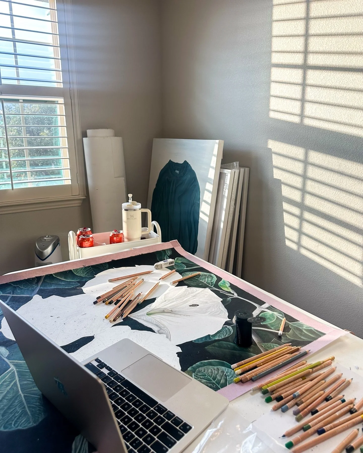 Sunny studio day 🍃