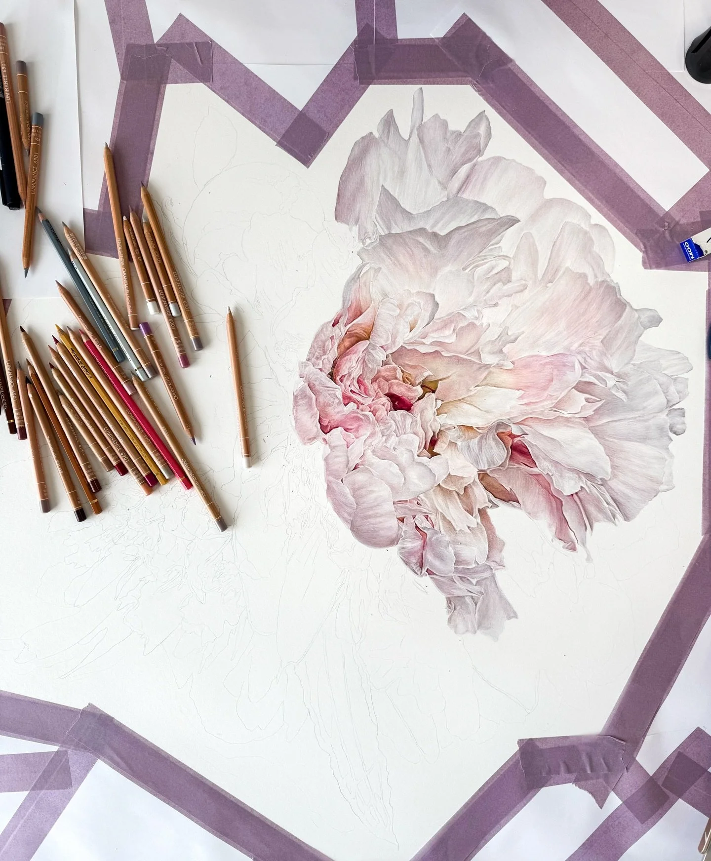 Peony progress 🤍

#maeganroysterart #fyp