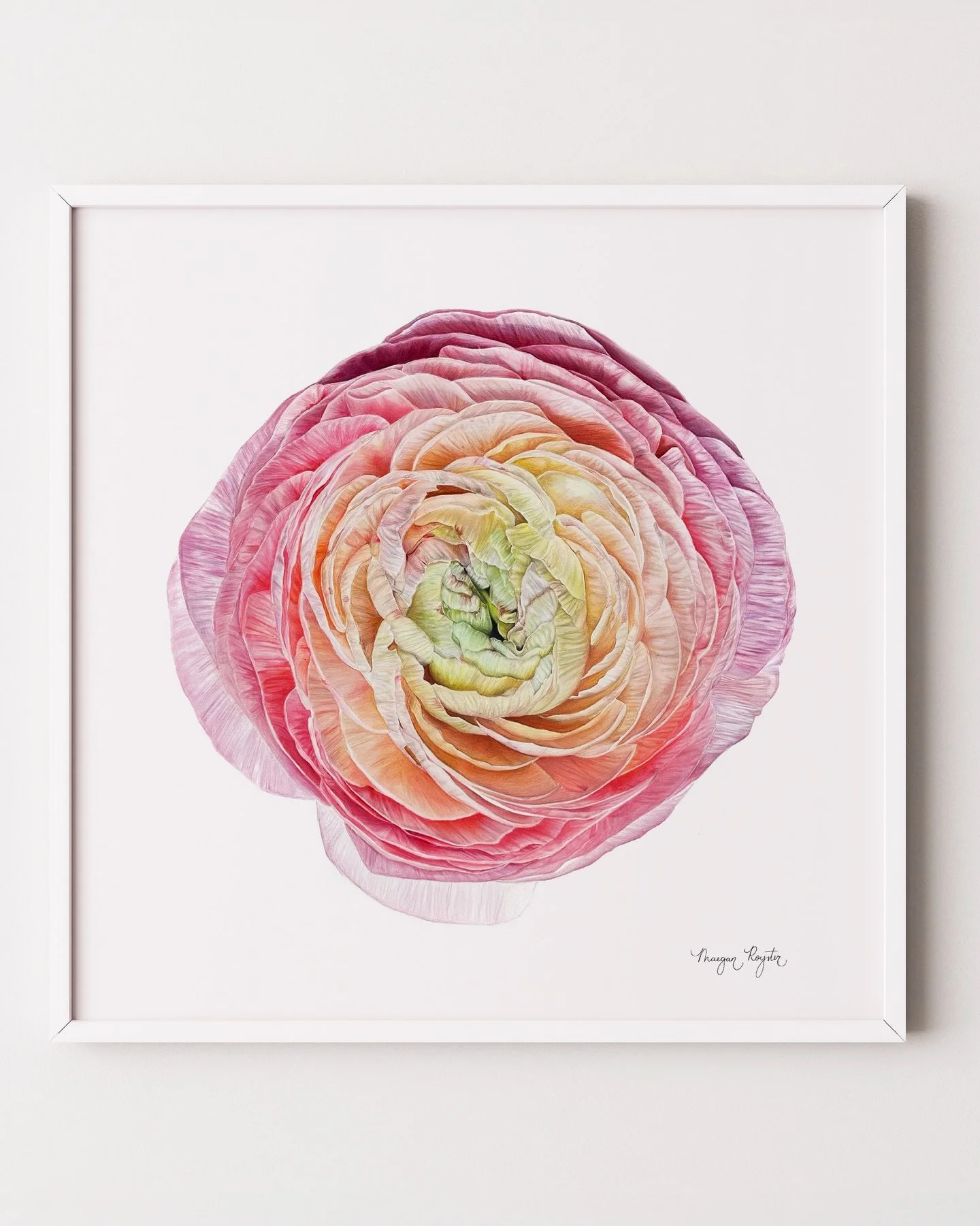 Have you ever looked at something ordinary and seen something extraordinary hiding inside it?

That&rsquo;s the question that drives every piece I make. Hyperrealism is a practice in slowing down, really looking, and finding the beauty that most peop