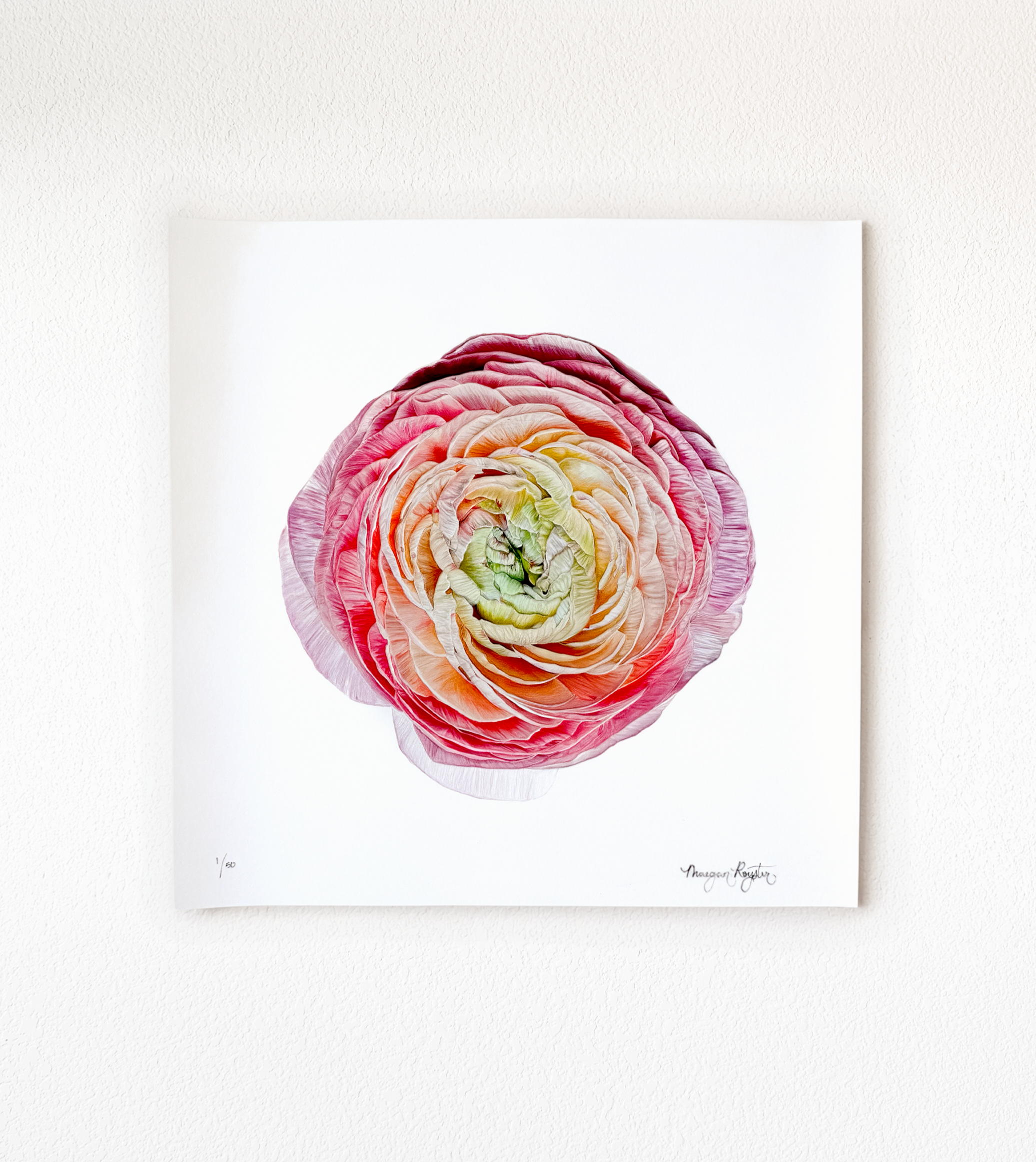 ranunculus+print+for+website+web.png