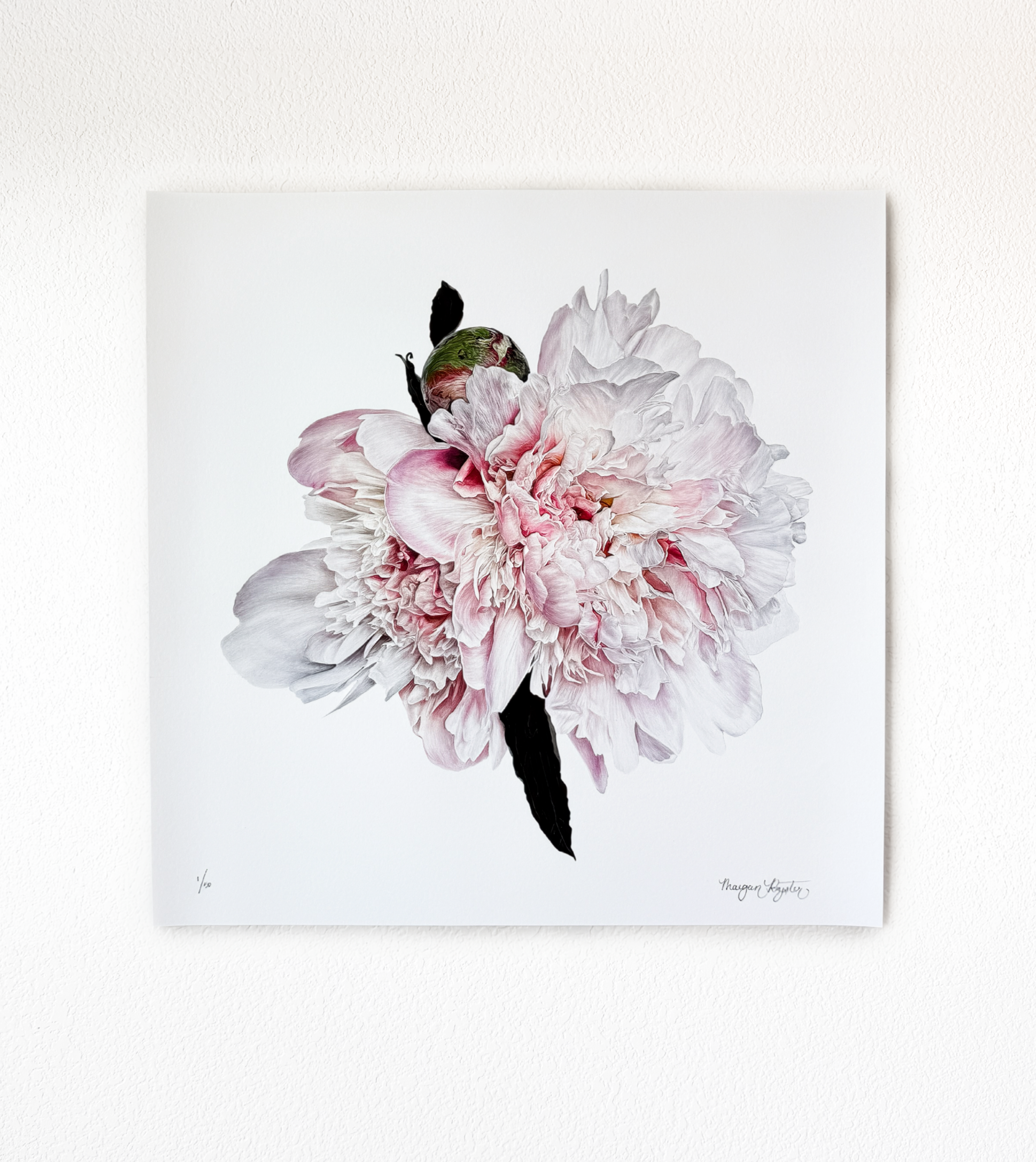 Peony+print+for+website+web.png