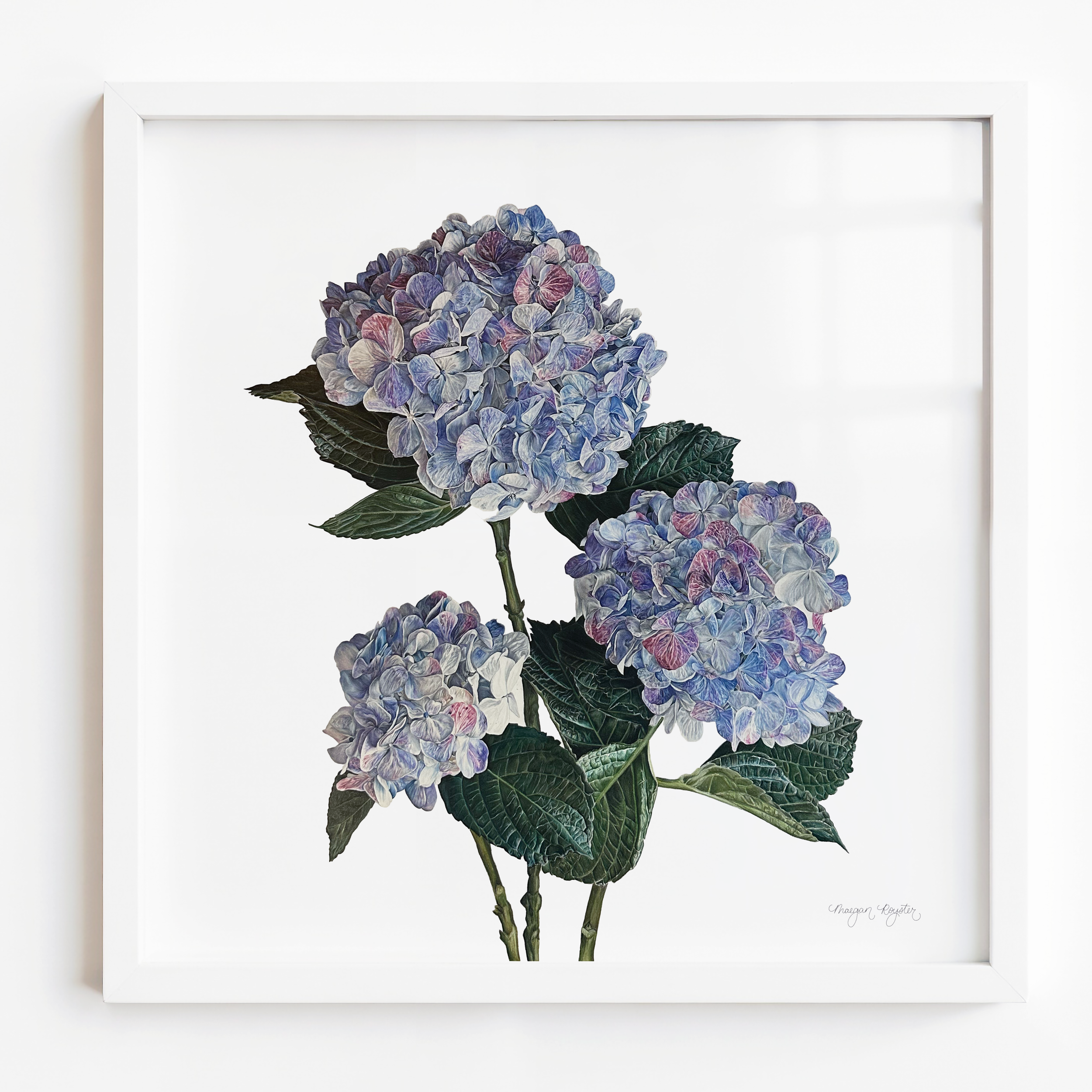 hydrangeas framed.png