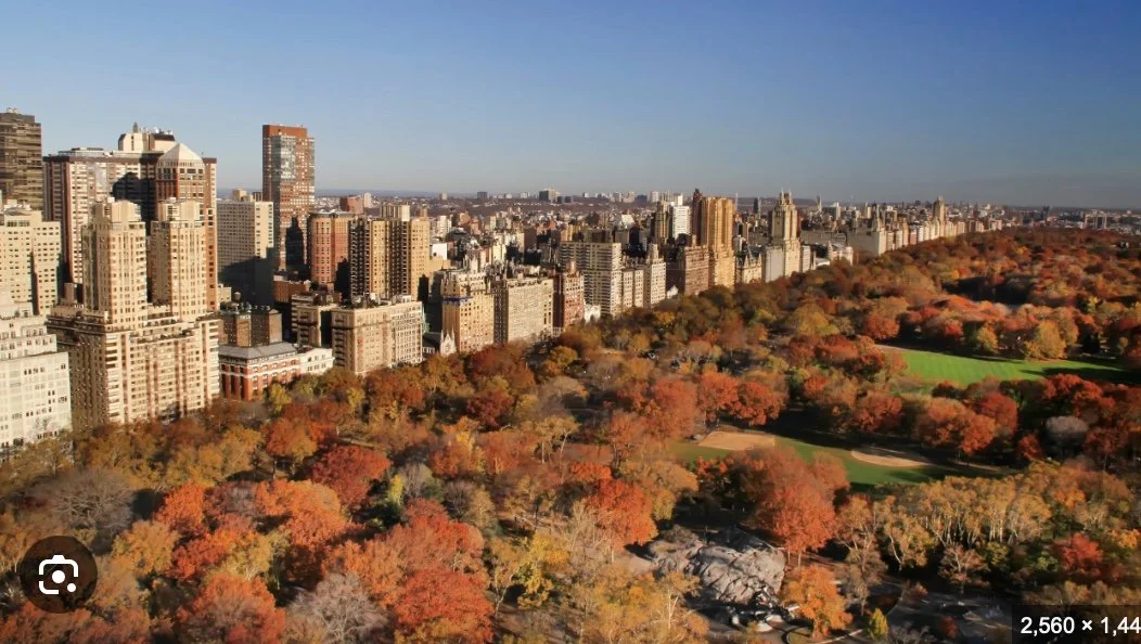City skyline with autumn trees in Central Park, New York City.