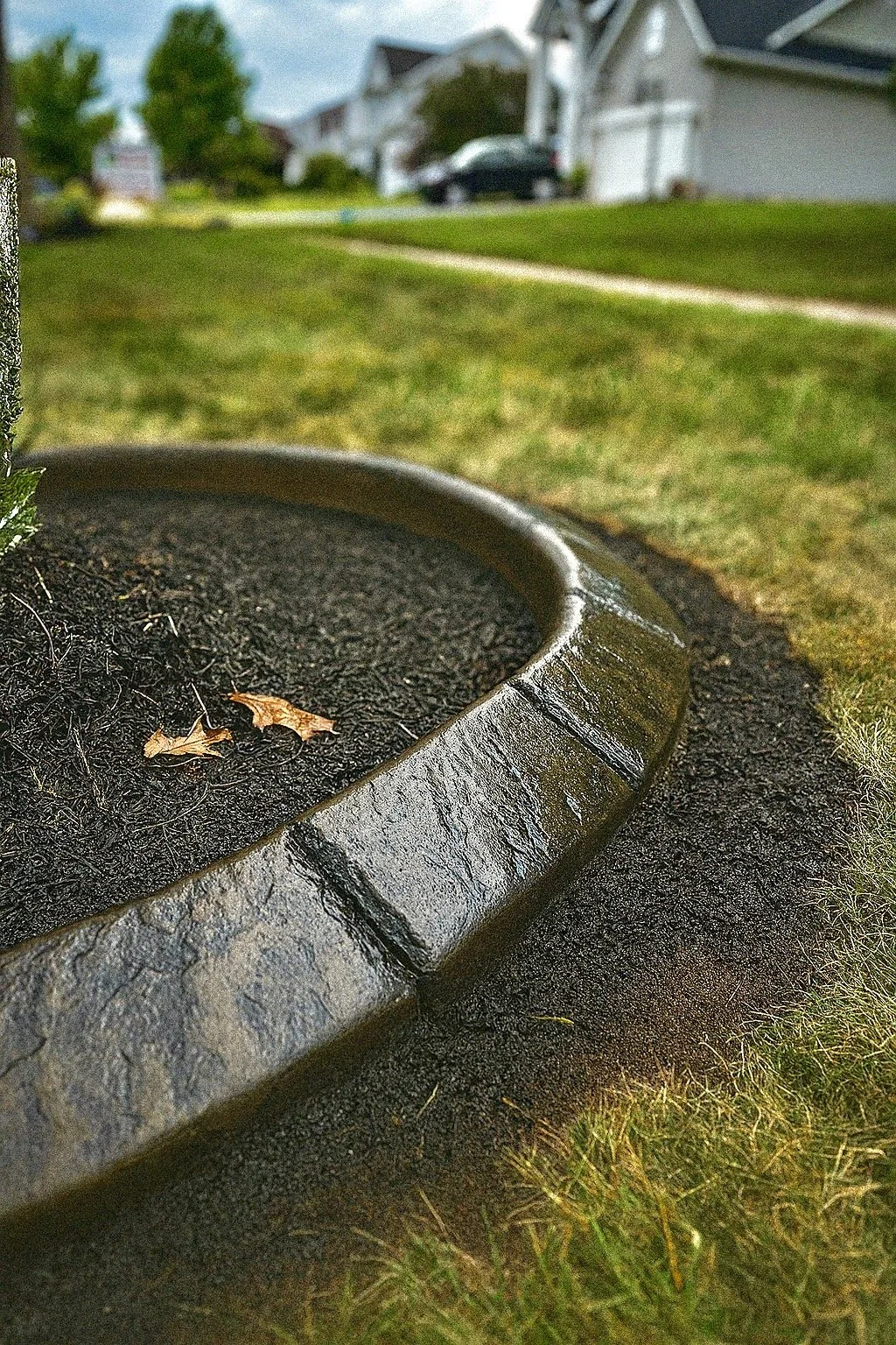 DEC2EAB9-0AF2-43C7-BB70-853C7BB65855 2.jpg